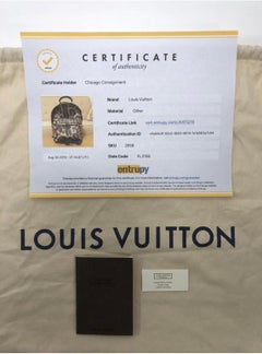 Louis Vuitton Limited Edition Wild Animal Print Palm Springs PM Backpack
