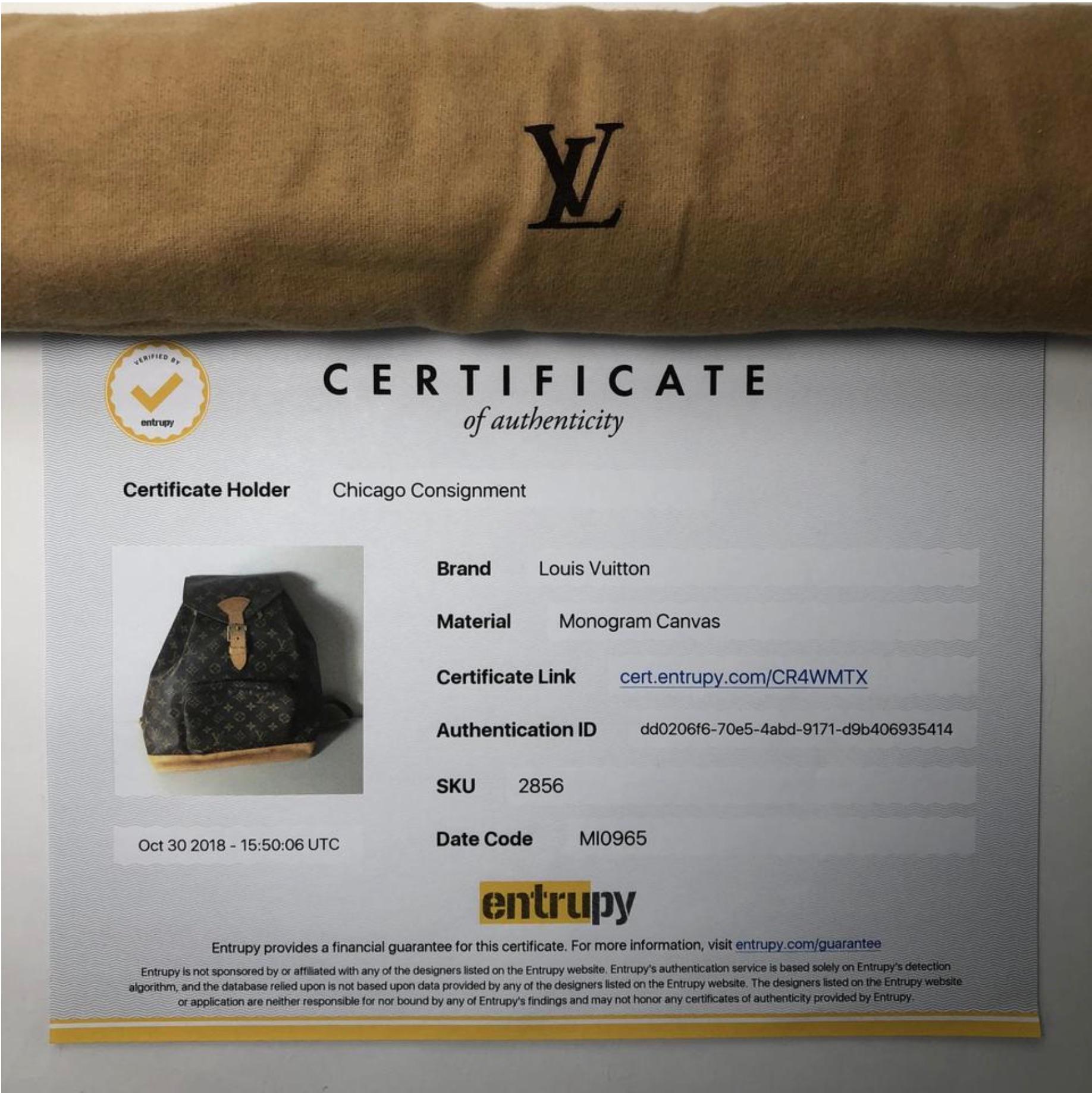 MODEL - Louis Vuitton Monogram Montsouris GM Backpack Handbag

CONDITION - Exceptional! Light to medium vachette, watermarks, no handle darkening, light dryness. Bright and shiny hardware with no tarnishing. No rips, holes, tears, stains or odors.
