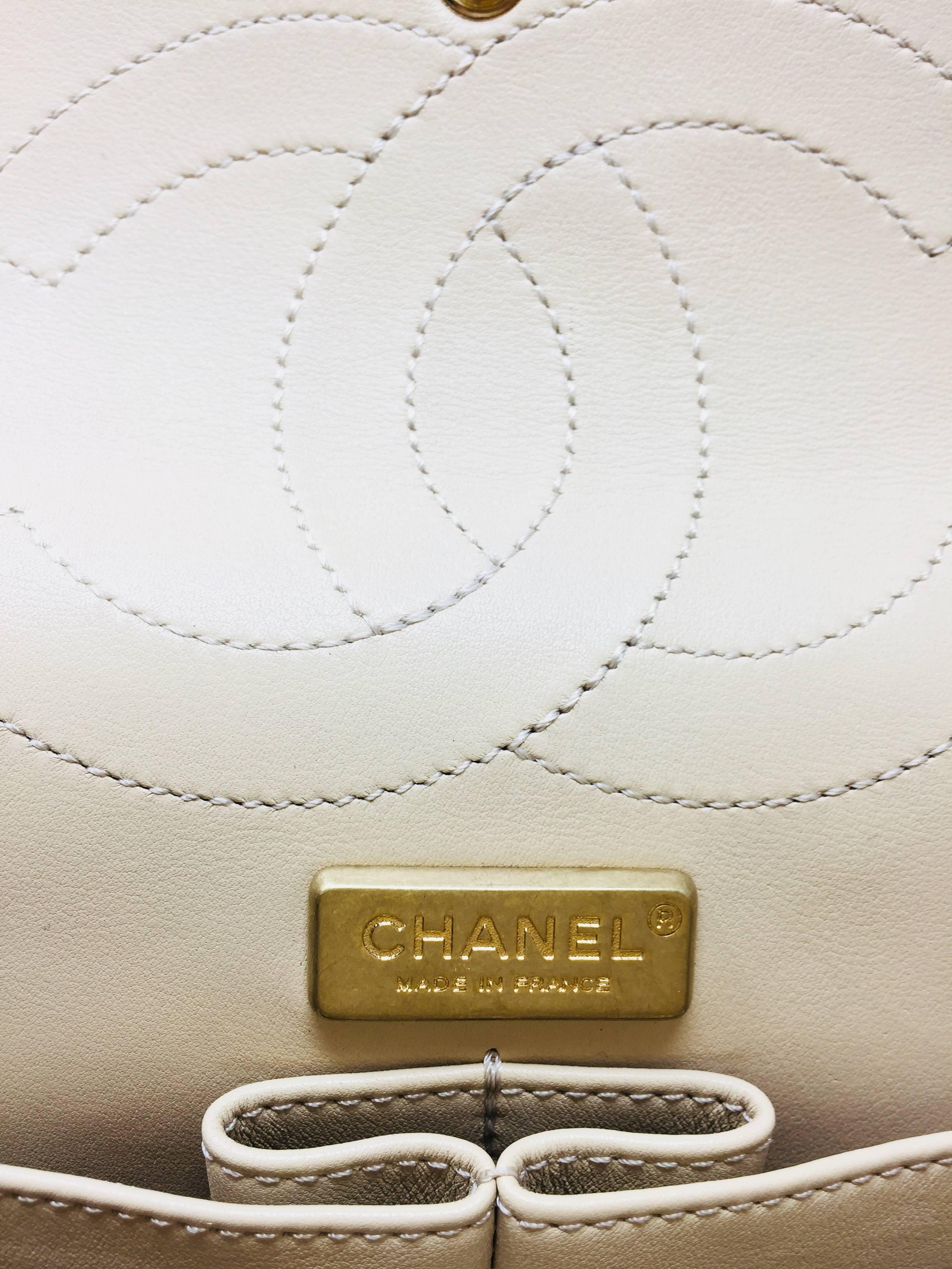 exotic chanel bags