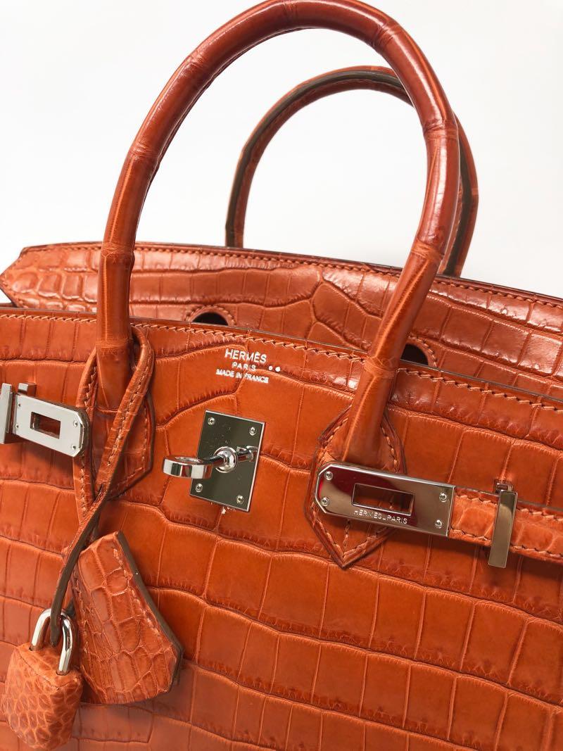 Hermes Sac Birkin 25 Crocodile Niloticus Mat 