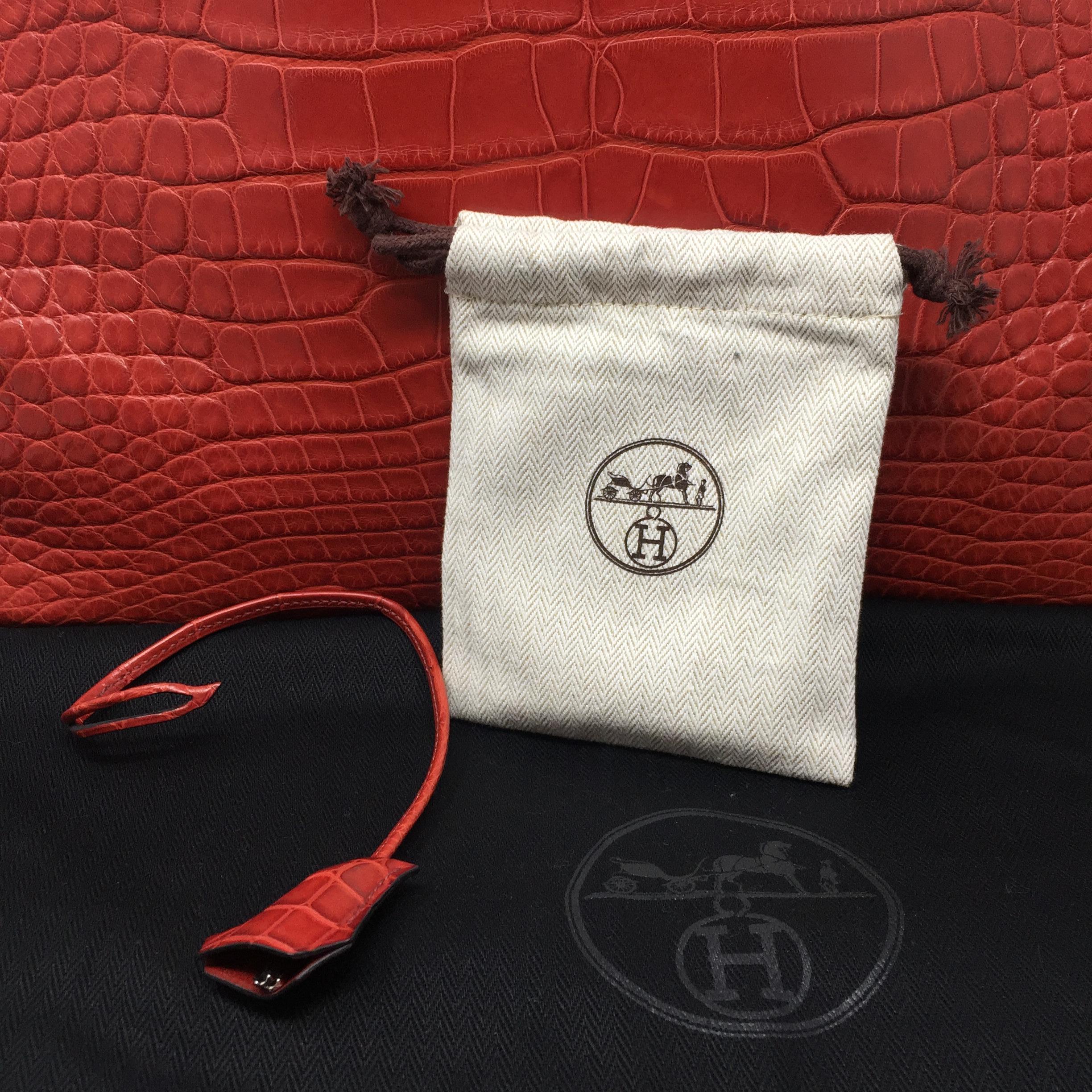 hermes paris bag