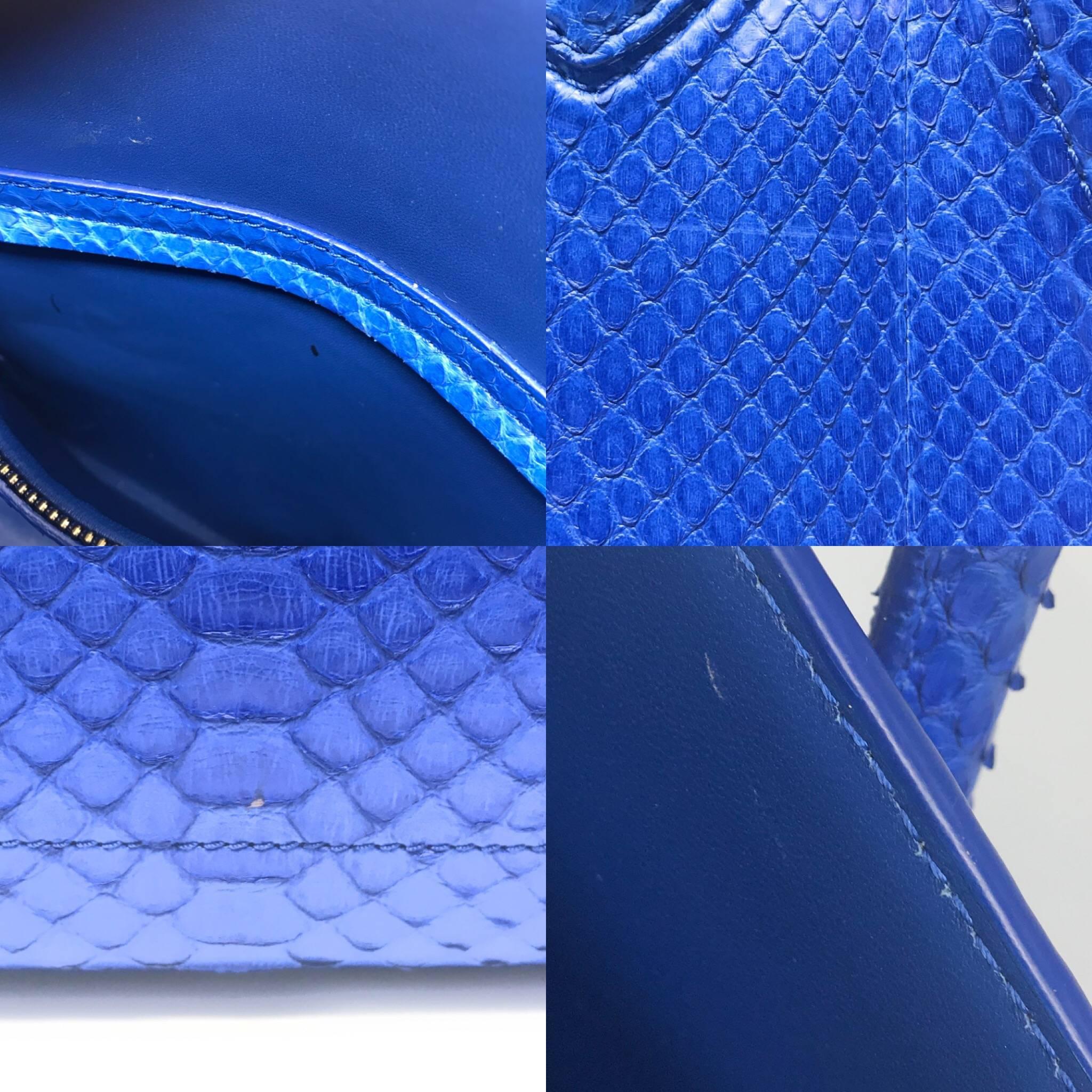 Celine Phantom Blue Python Bag For Sale 1