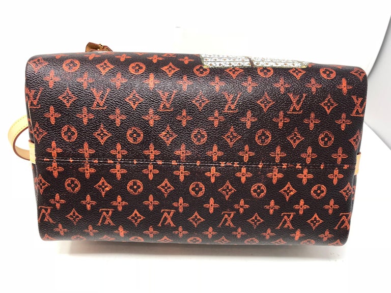 Louis Vuitton lv speedy 30 bandouliere with cats and dogs printing catogram  shoulder bag