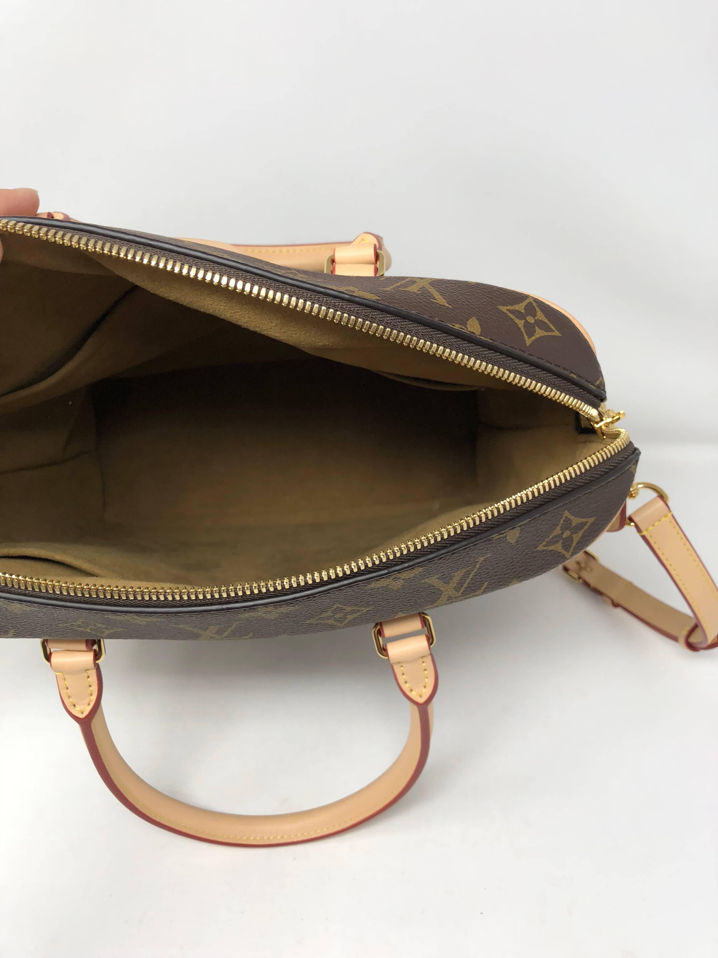 Louis Vuitton Carry All MM Monogram Bag 2
