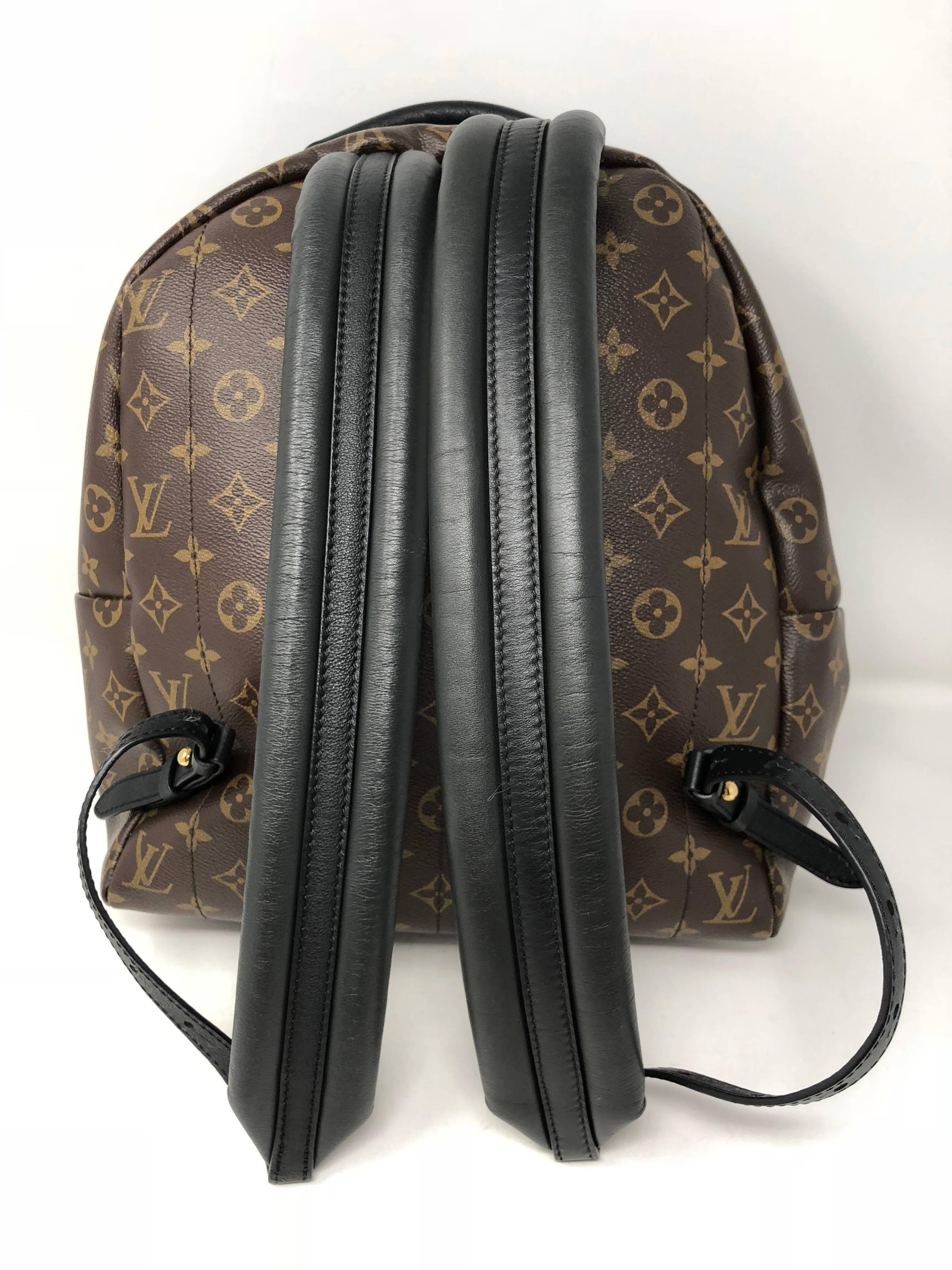 Women's or Men's Louis Vuitton Palm Springs MM Backpack 