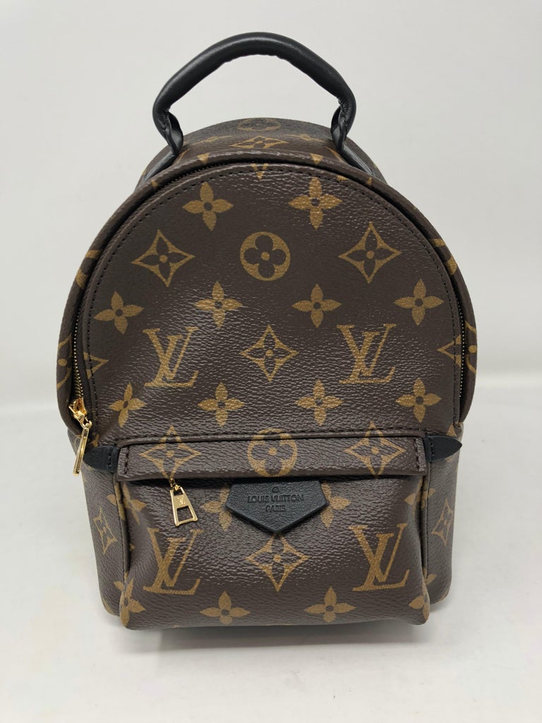 Louis Vuitton Palm Springs Mini Crossbody/Backpack
