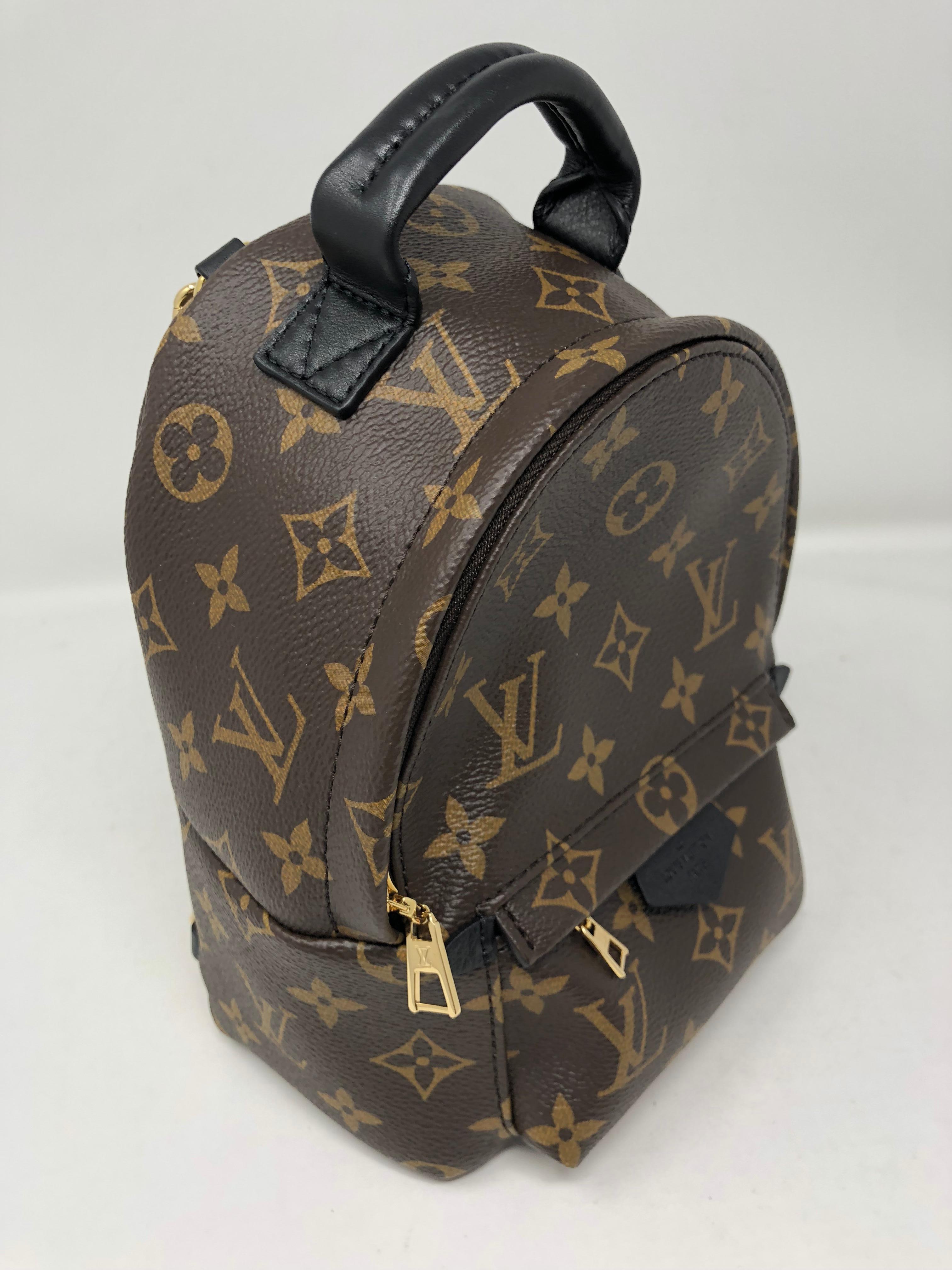 Women's or Men's Louis Vuitton Palm Springs Mini Crossbody/Backpack 