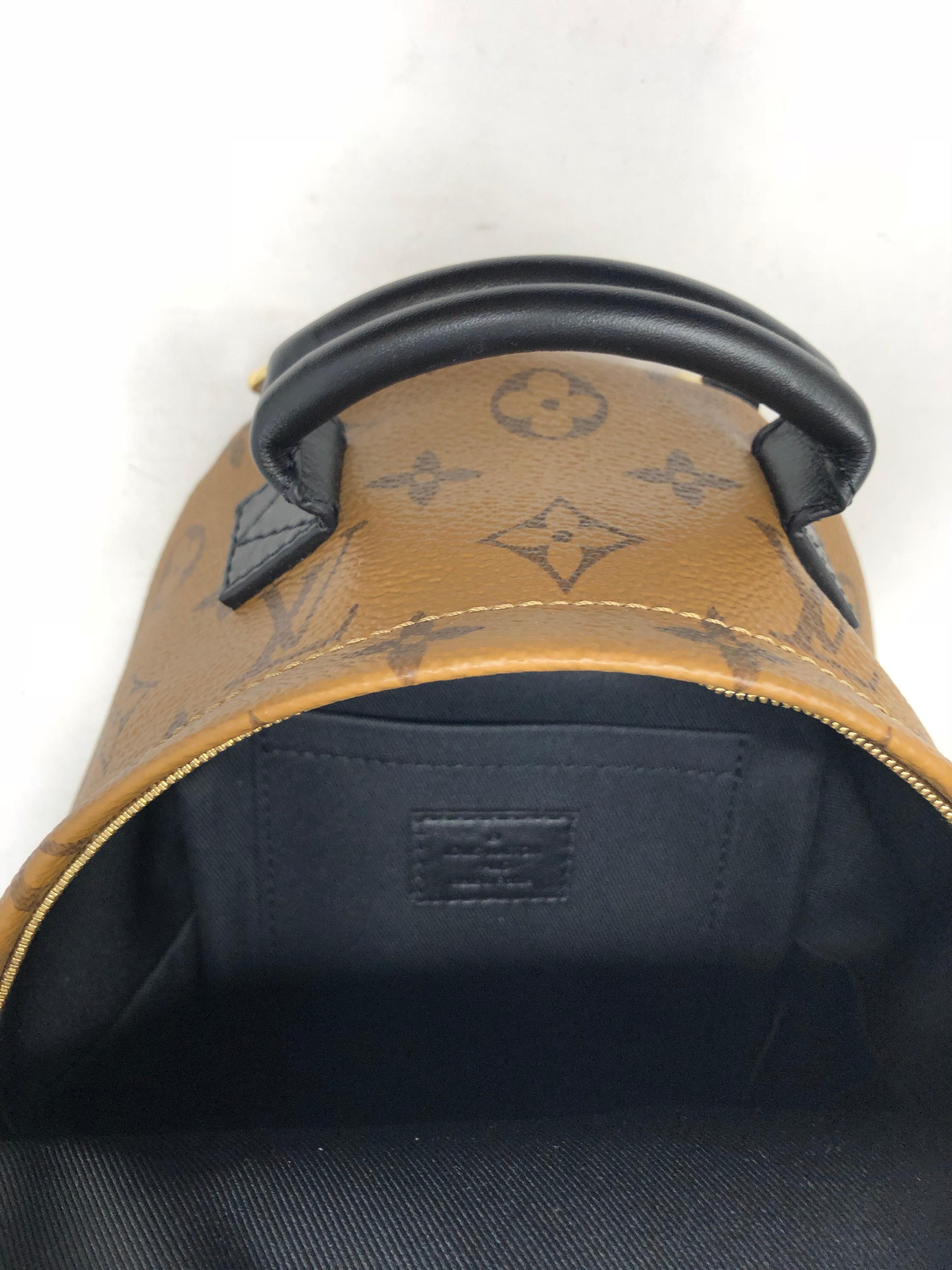 Louis Vuitton Reverse Palm Springs Mini Backpack  1