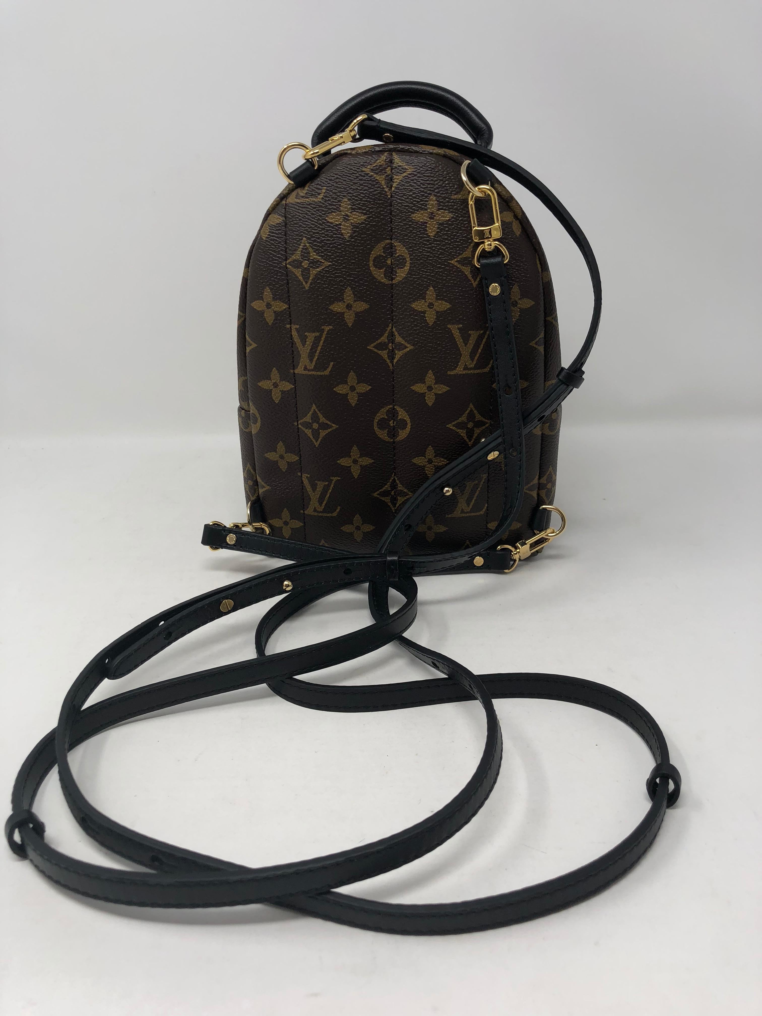 Women's or Men's Louis Vuitton Palm Springs Mini Backpack