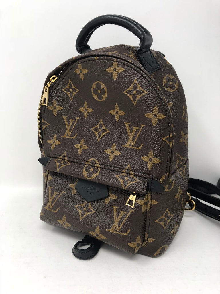Louis Vuitton Palm Springs Mini Backpack at 1stdibs