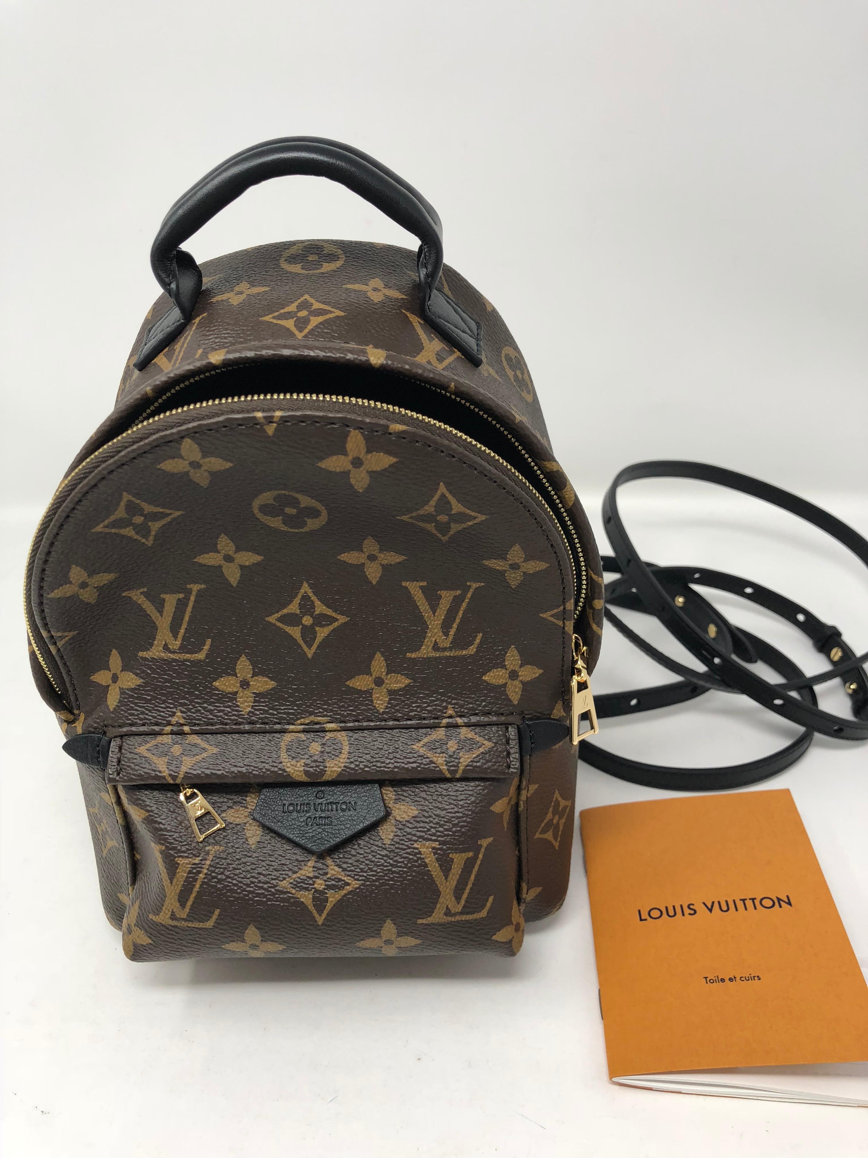 Louis Vuitton Palm Springs Mini Crossbody / Backpack   2