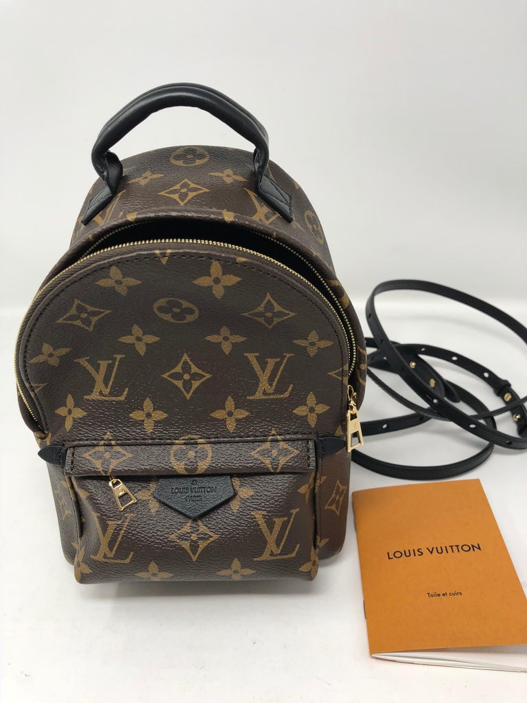Louis Vuitton Palm Springs Mini Crossbody / Backpack at 1stdibs