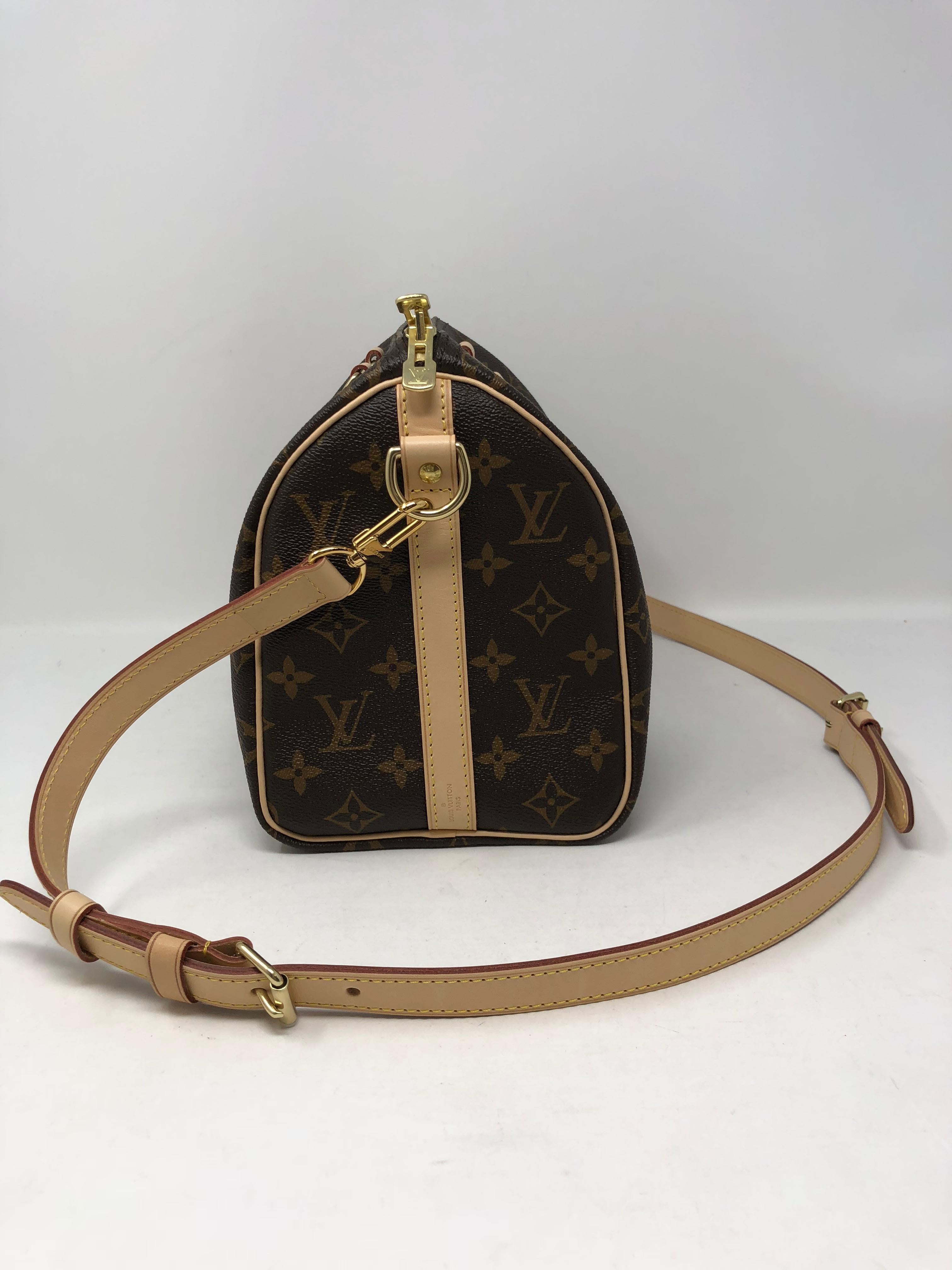 Louis Vuitton Speedy 25 Bandouliere Bag 2