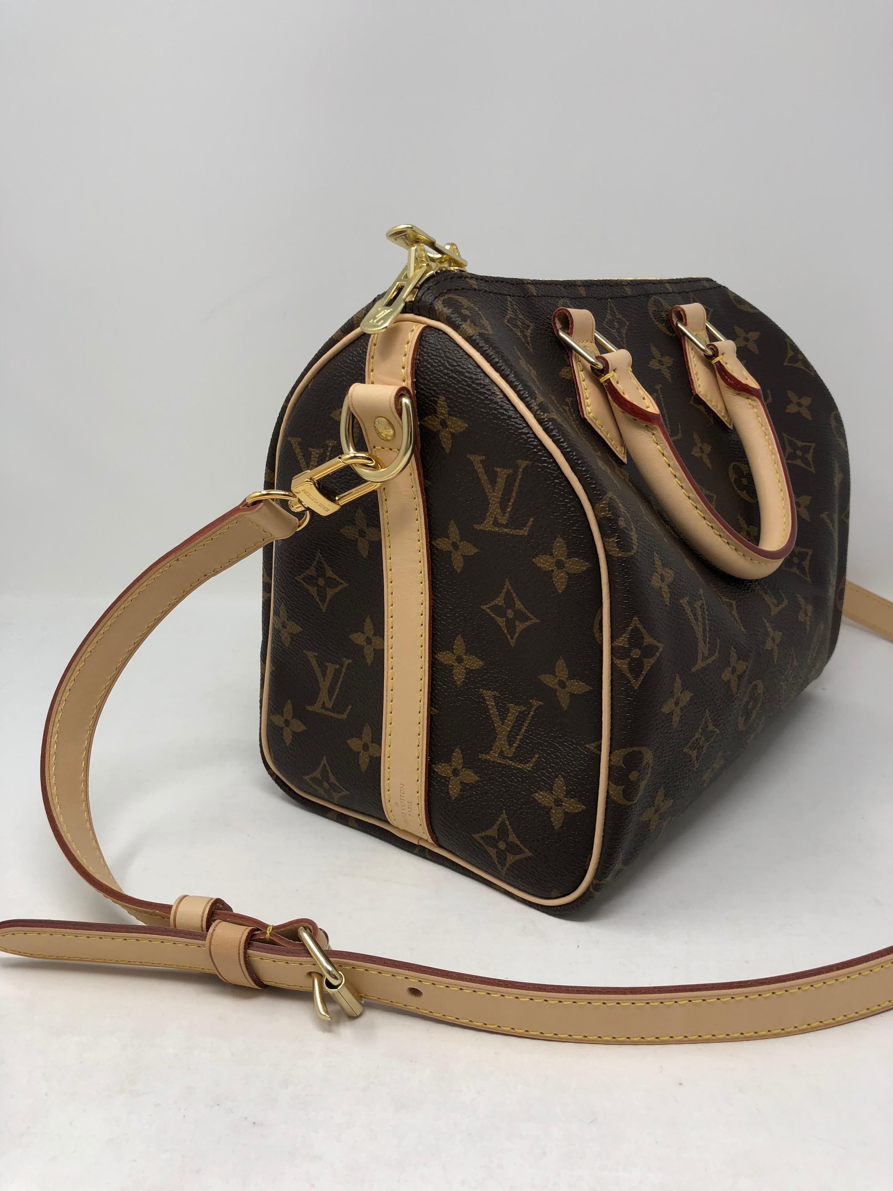Louis Vuitton Speedy 25 Bandouliere Bag 1