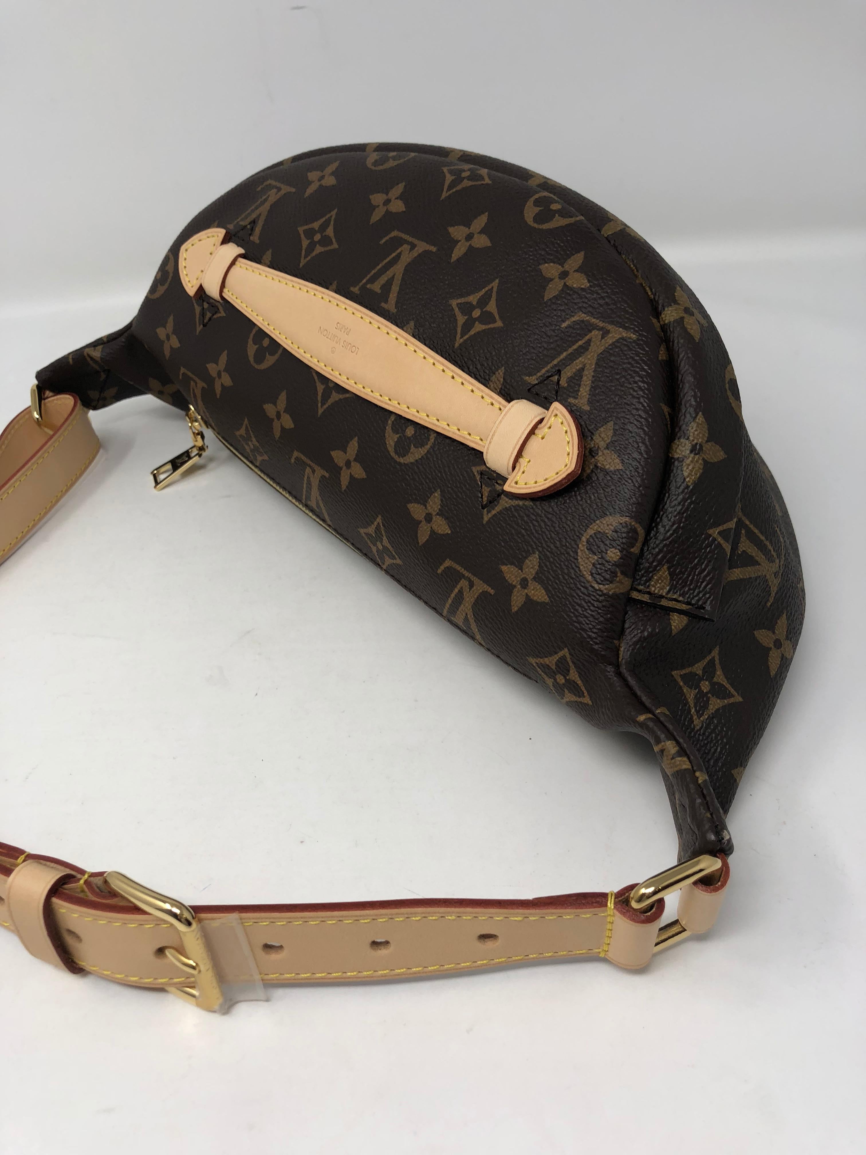 Women's or Men's Louis Vuitton Bum Bag 