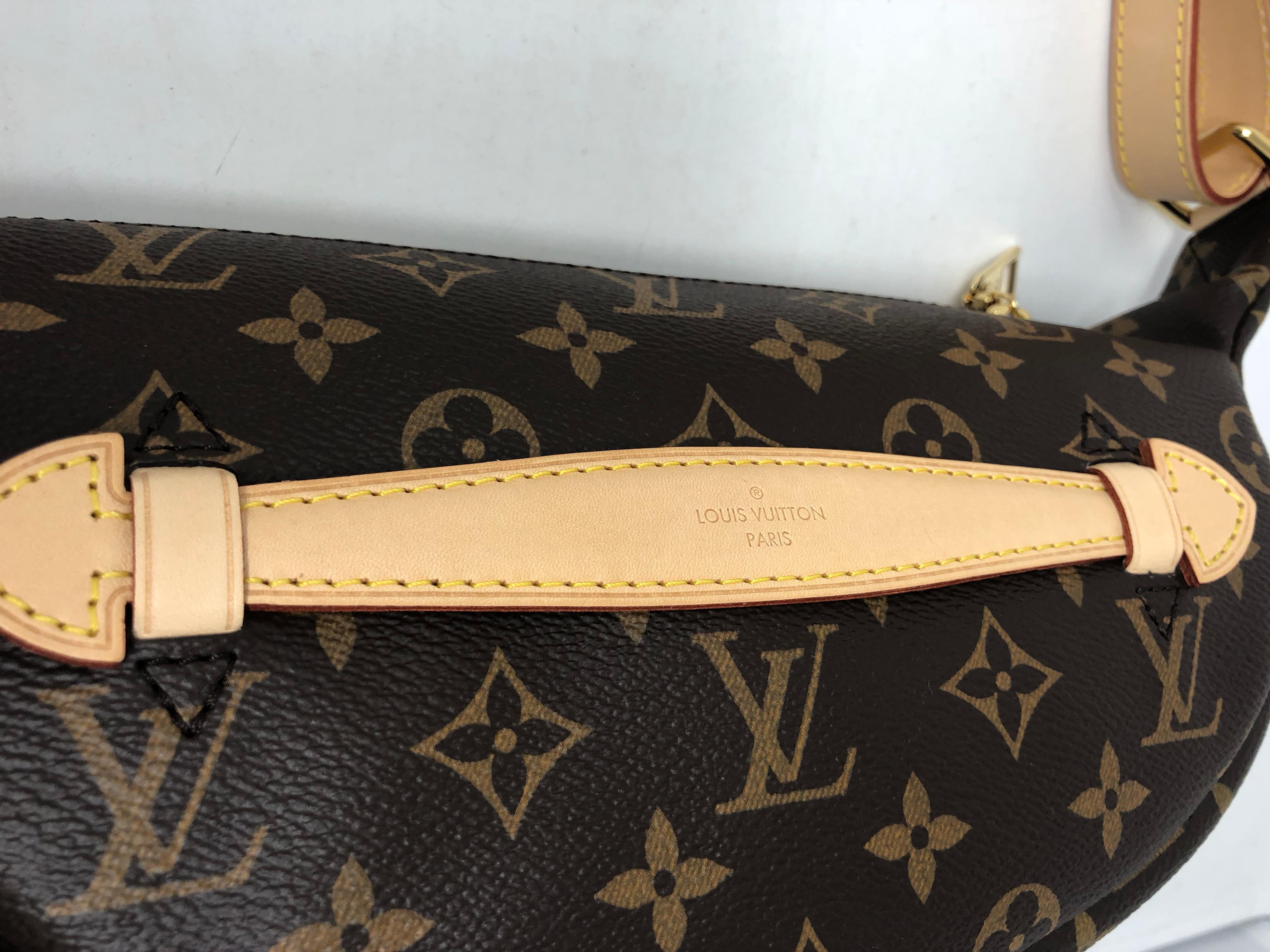 Louis Vuitton Gürteltasche 2