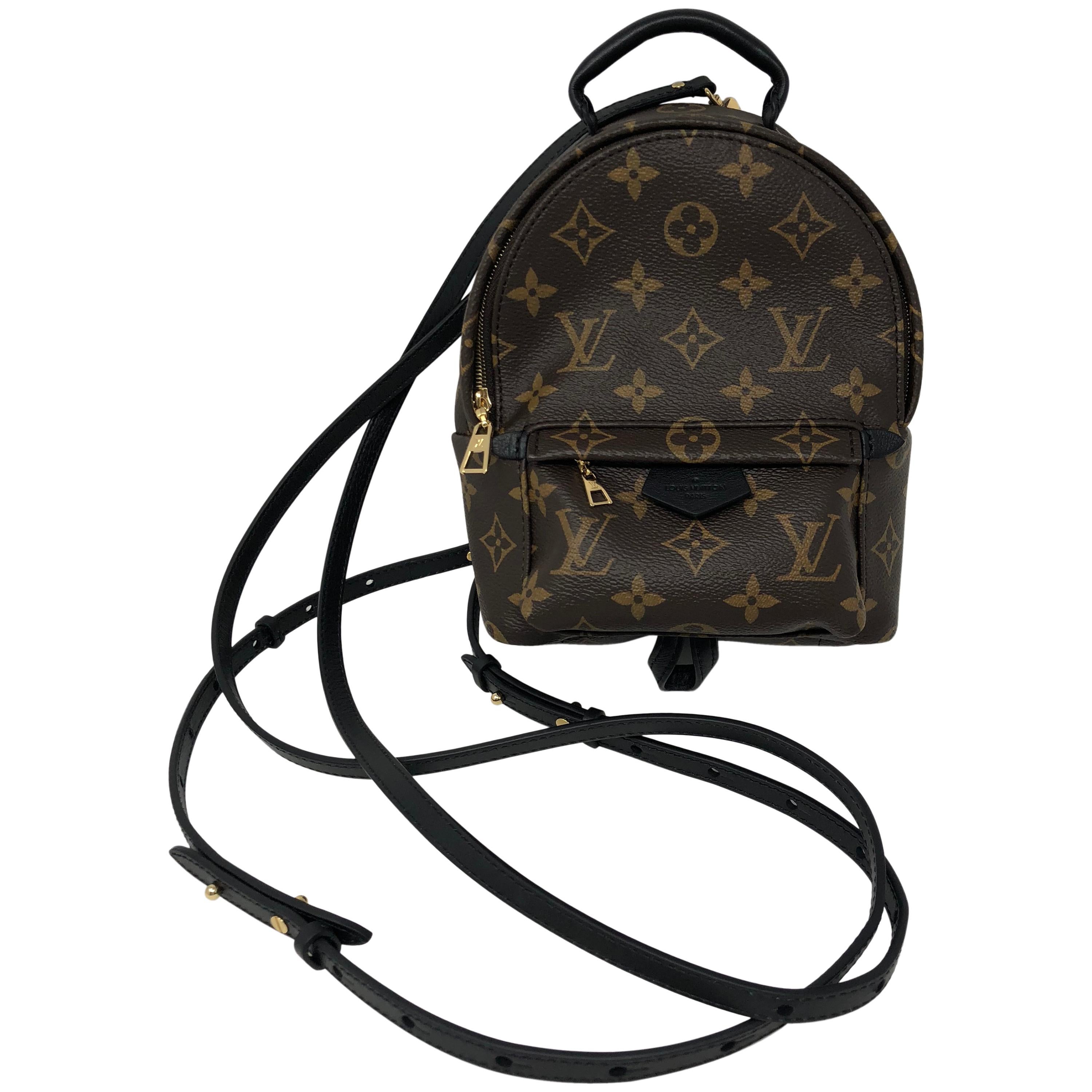 Louis Vuitton Palm Springs Mini Crossbody / Backpack