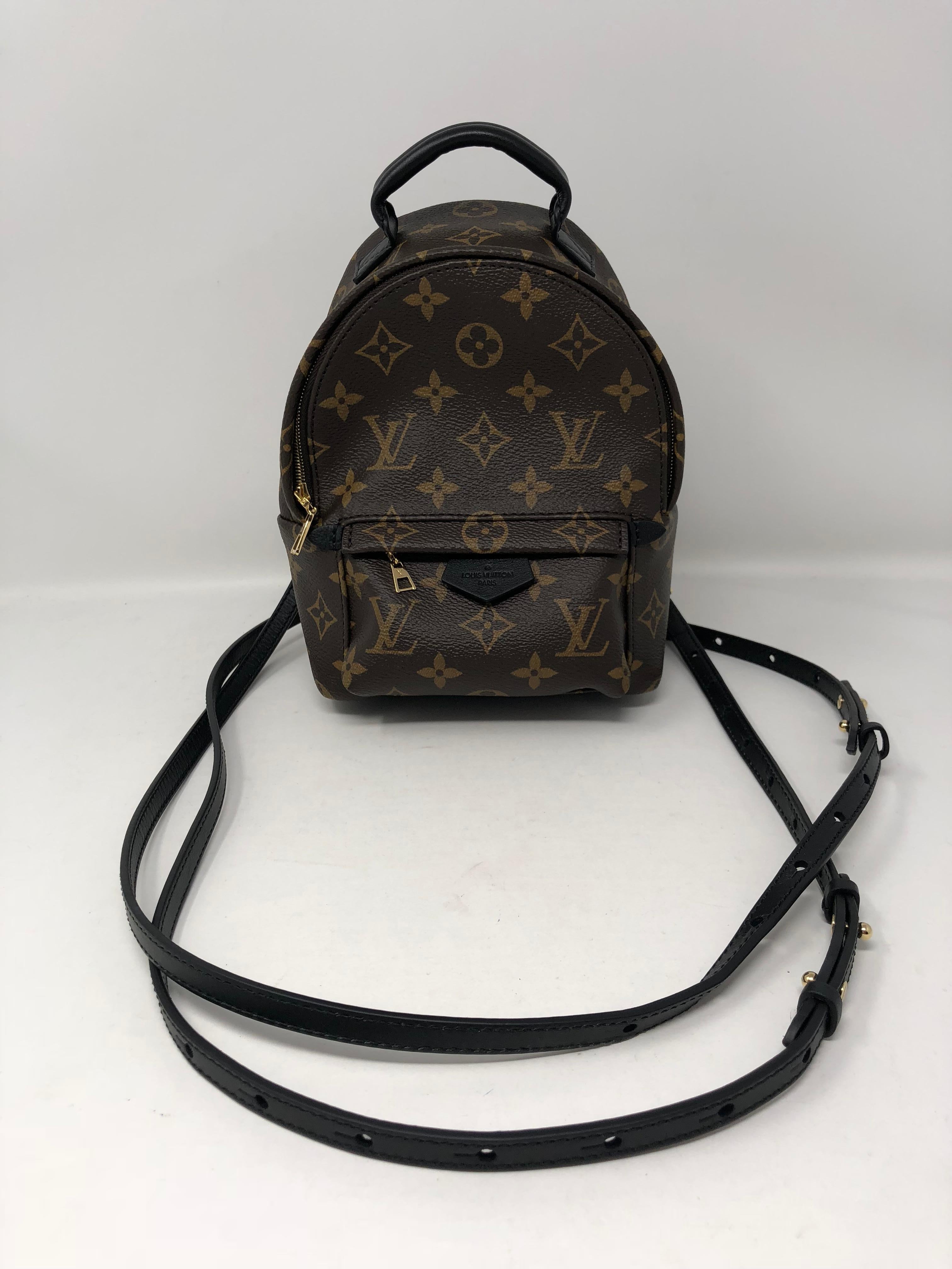 Louis Vuitton Palm Springs Mini Crossbody / Backpack   1