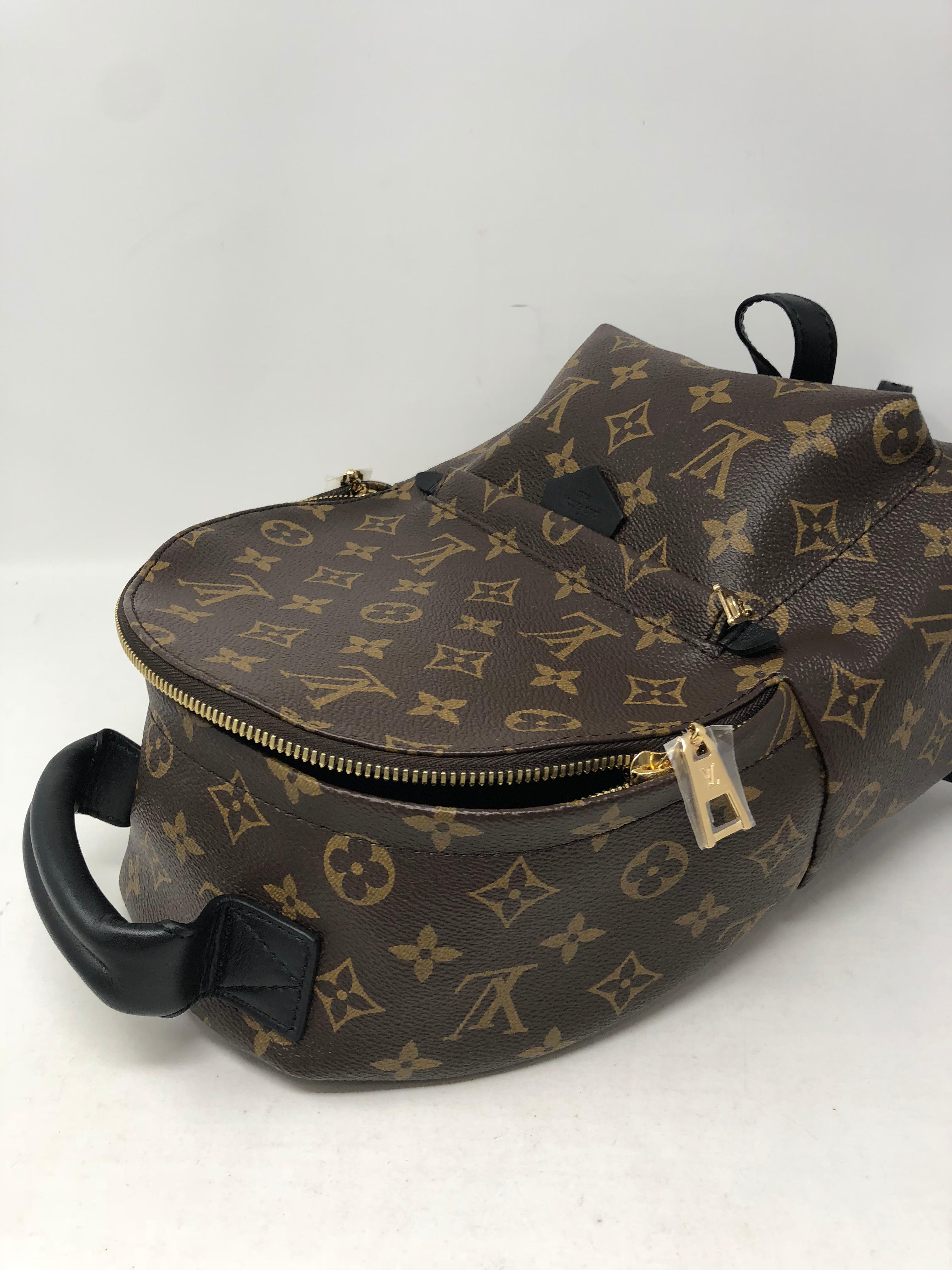 Louis Vuitton Palm Springs Backpack PM 6