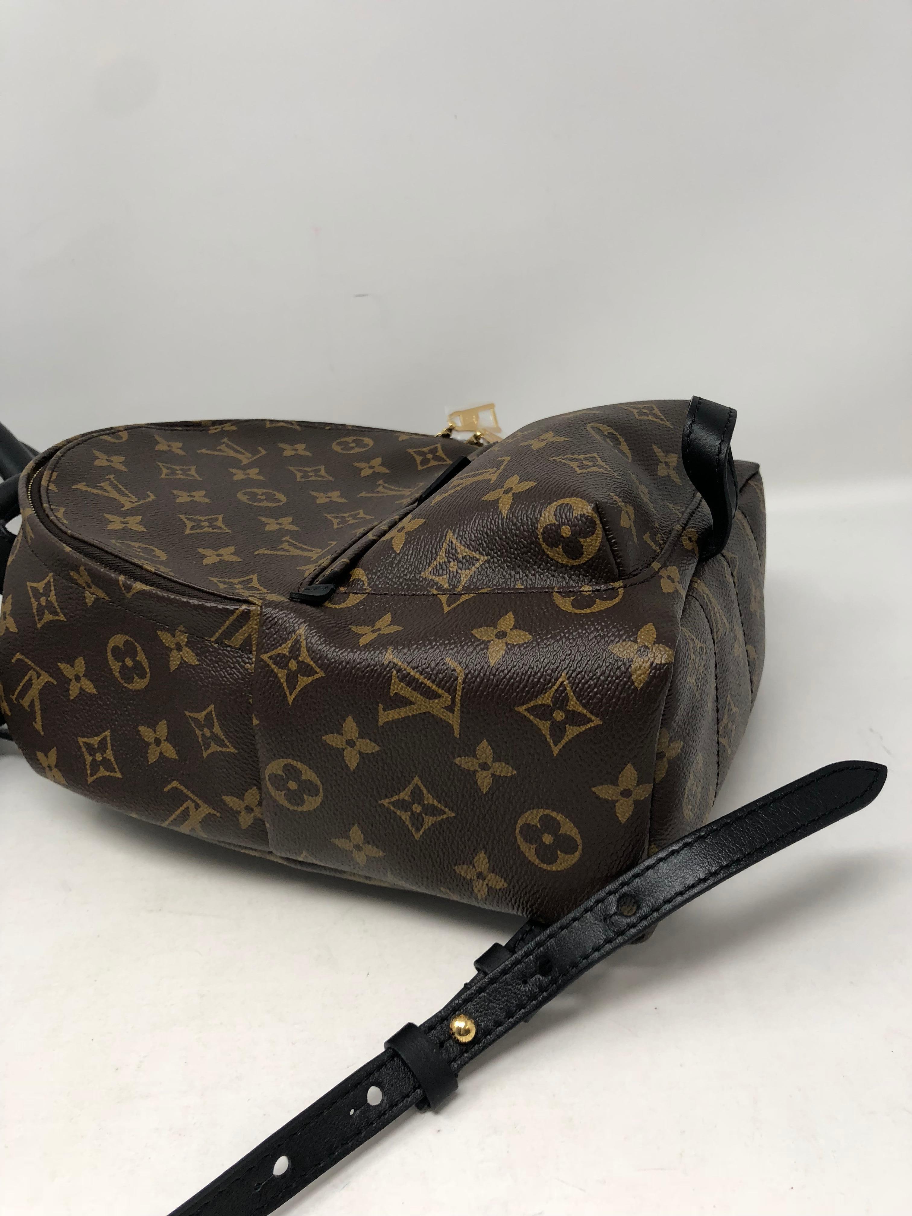 Louis Vuitton Palm Springs Backpack PM 5