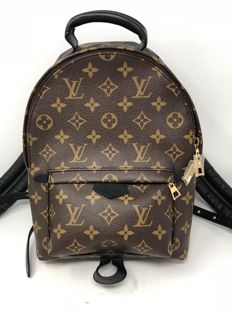 Louis Vuitton Palm Springs Backpack PM at 1stdibs