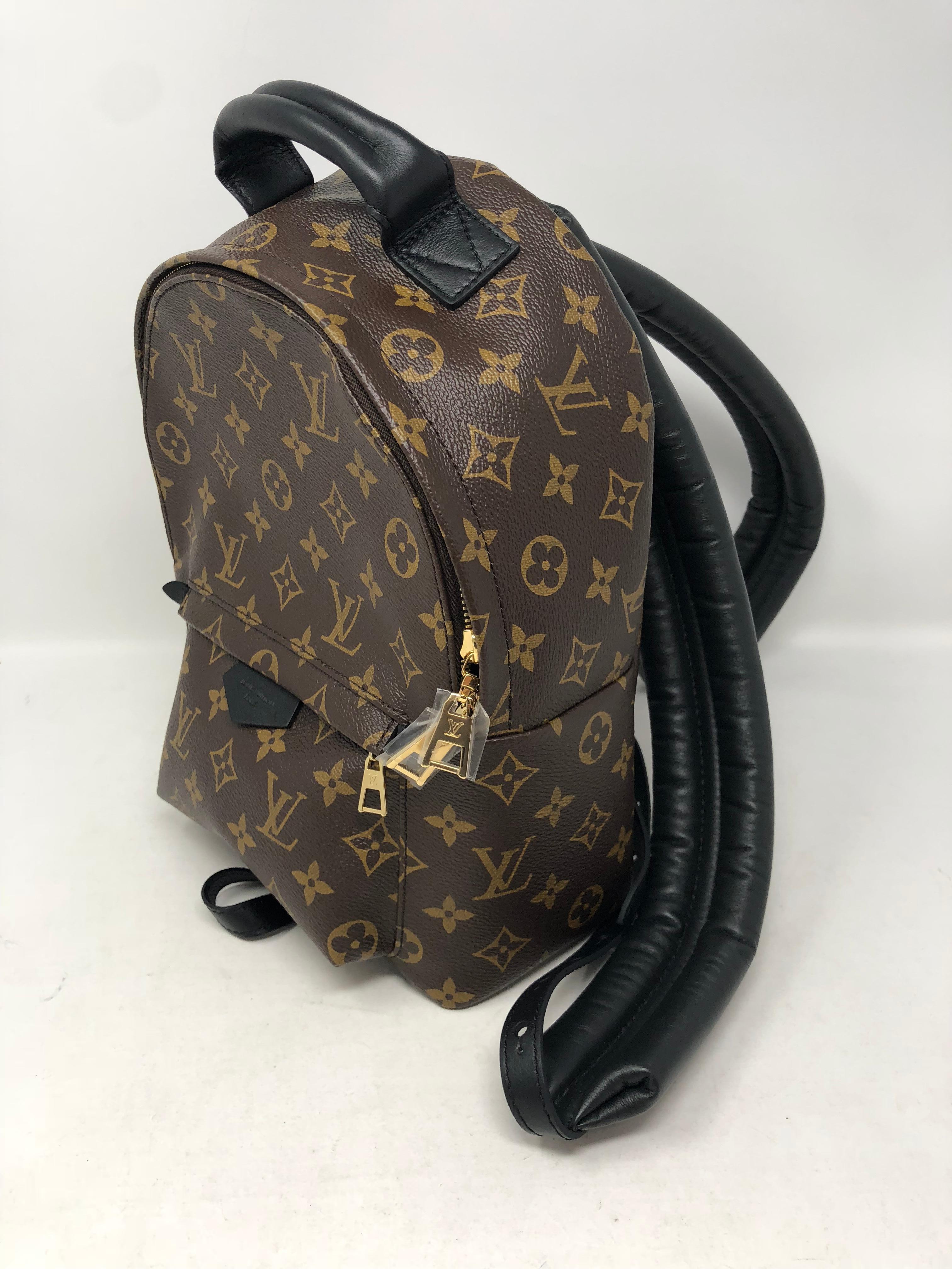 Women's or Men's Louis Vuitton Palm Springs Backpack PM