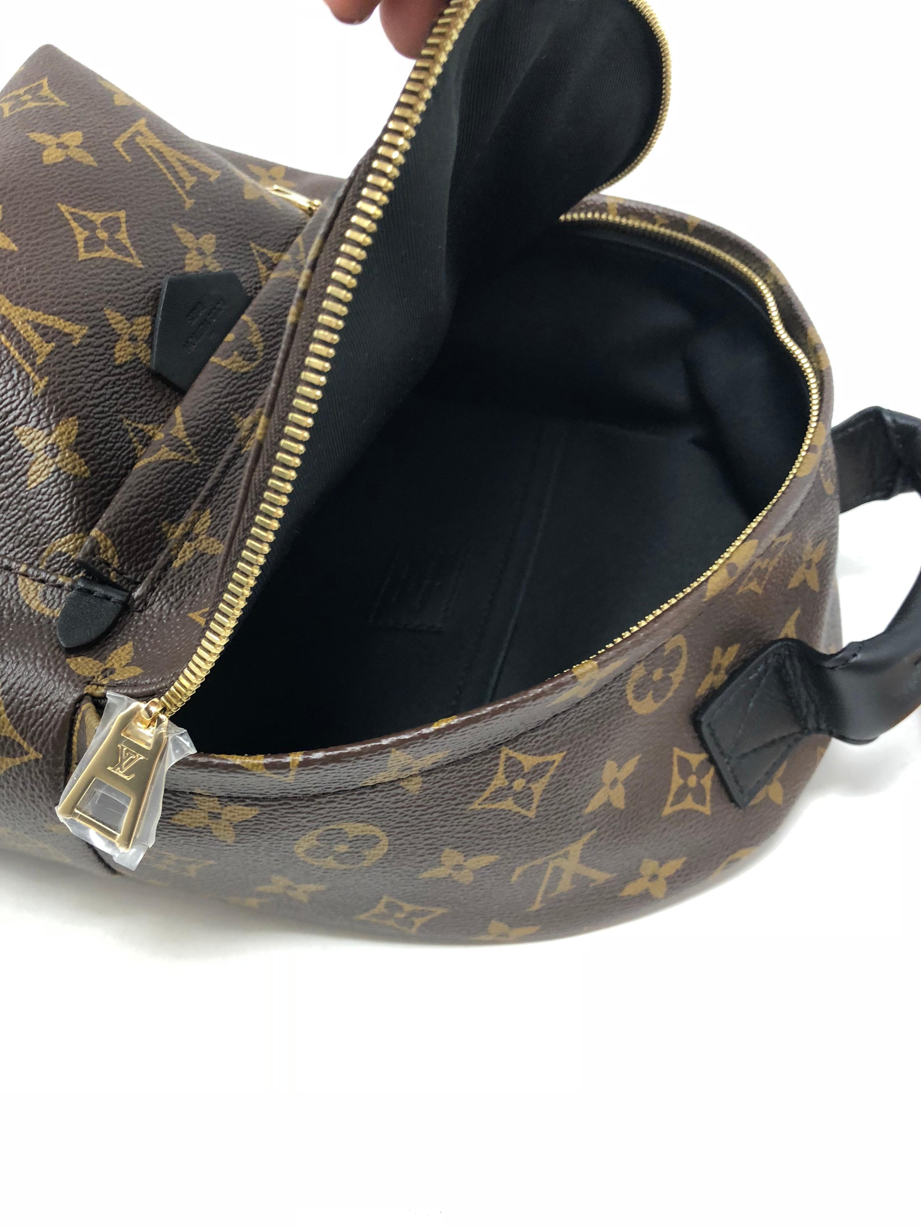 Louis Vuitton Palm Springs Backpack PM 7