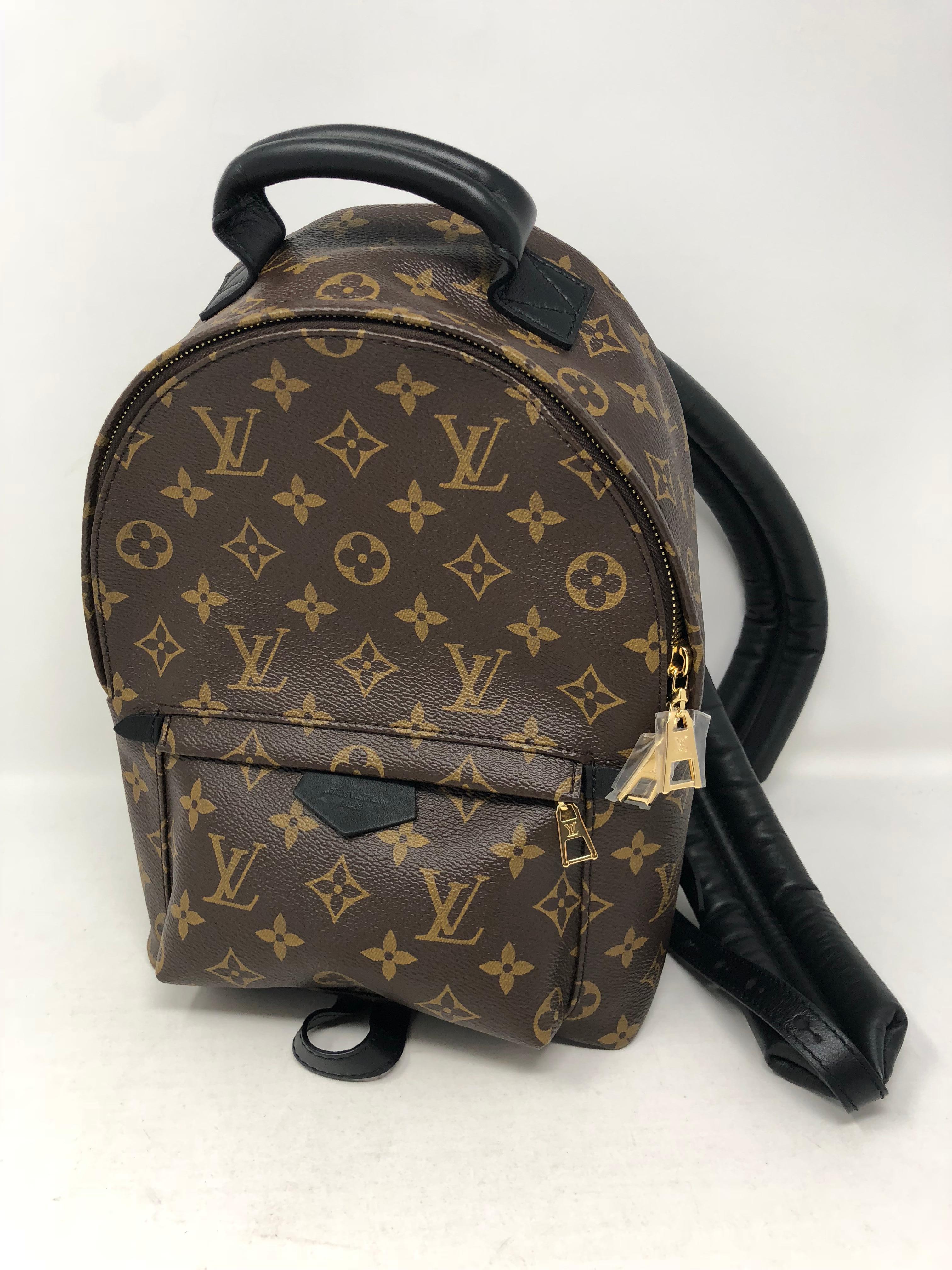 Louis Vuitton Palm Springs Backpack PM 2