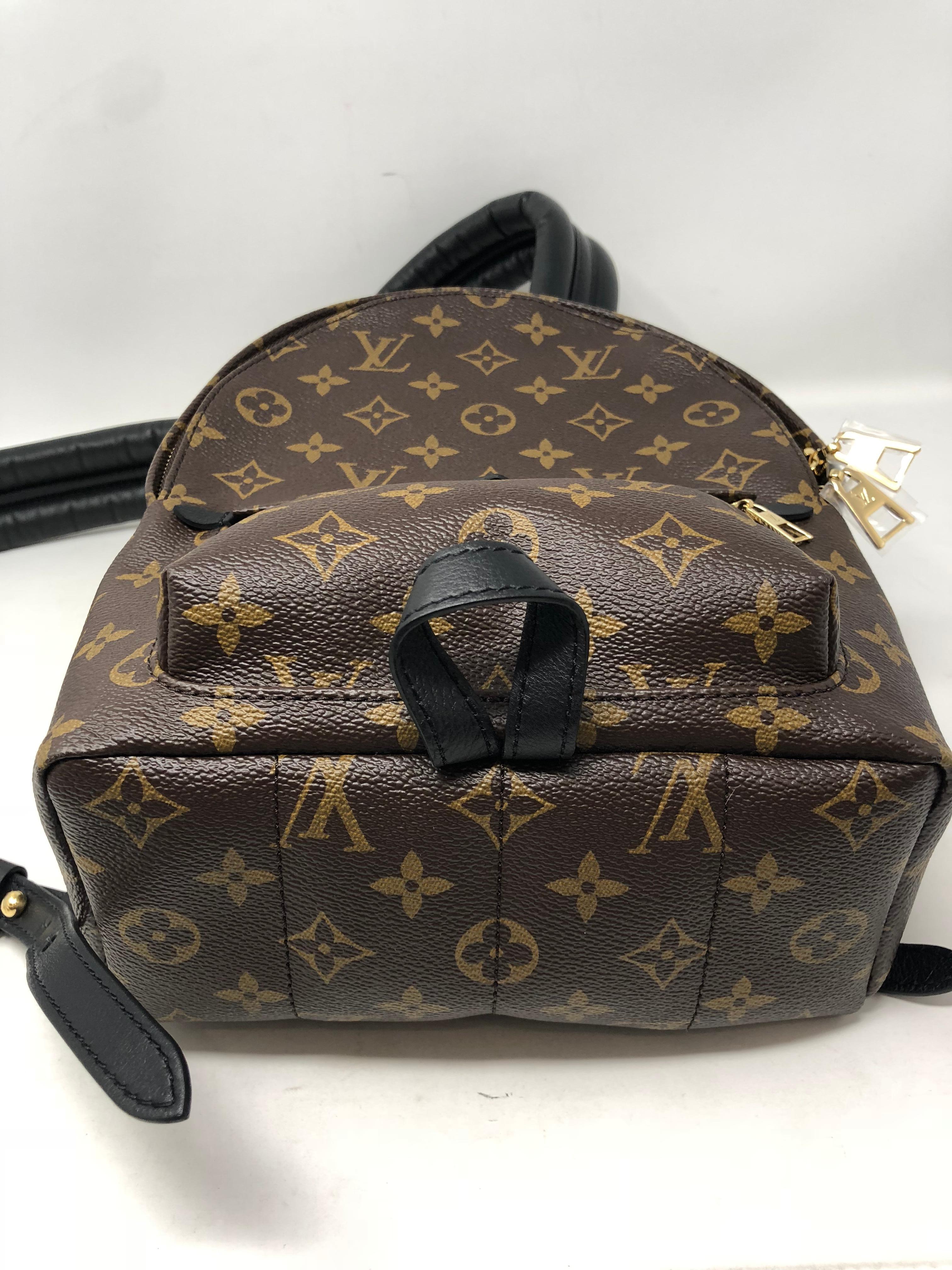 Louis Vuitton Palm Springs Backpack PM 1