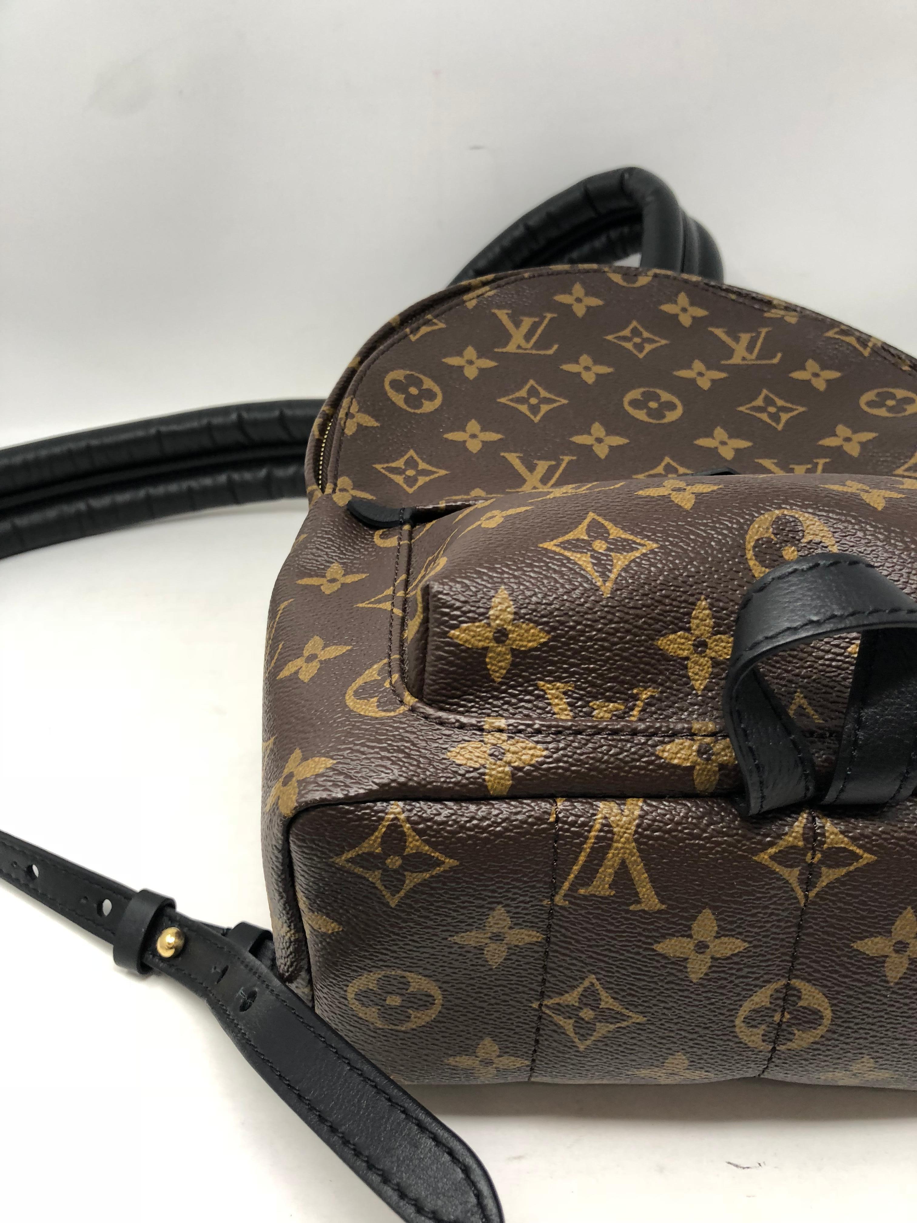 Louis Vuitton Palm Springs Backpack PM 3