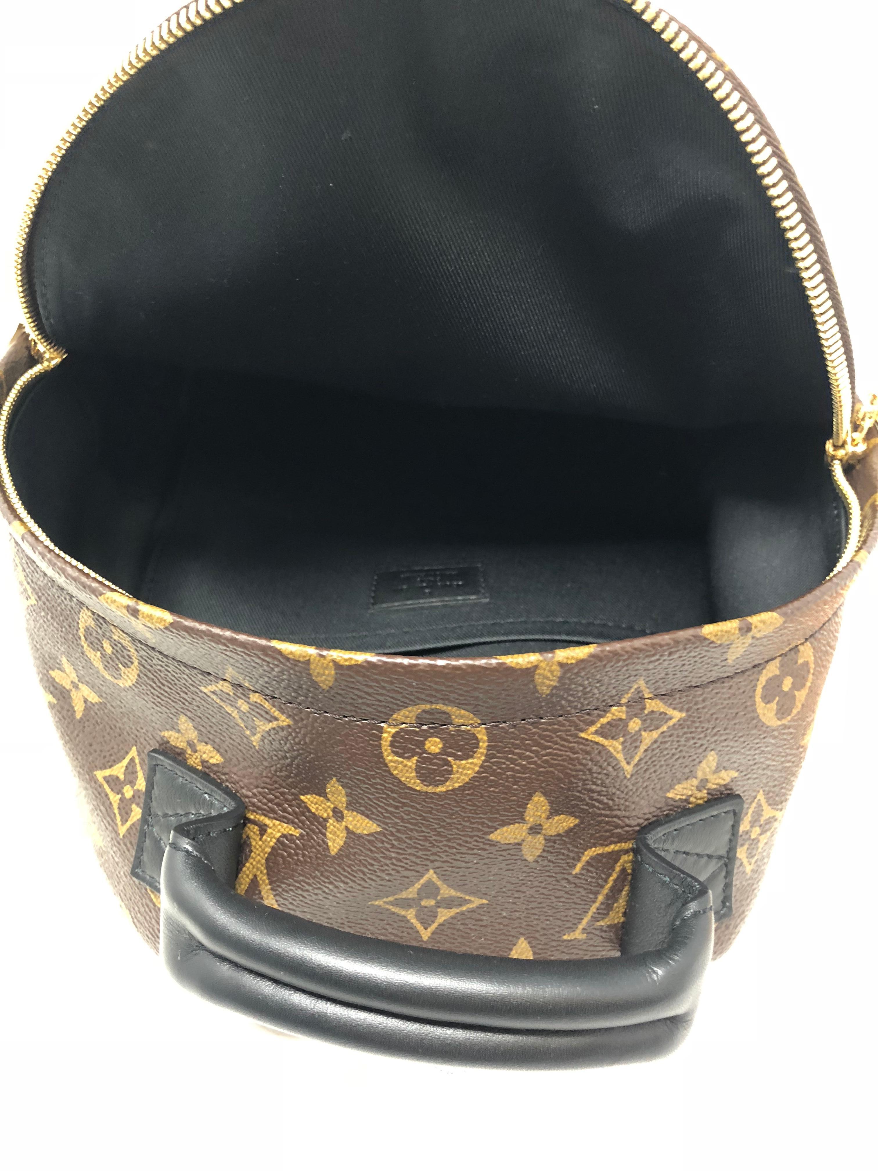 Louis Vuitton Palm Springs Backpack PM 8