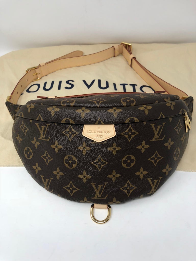 Louis Vuitton Bum Bag Celebrity