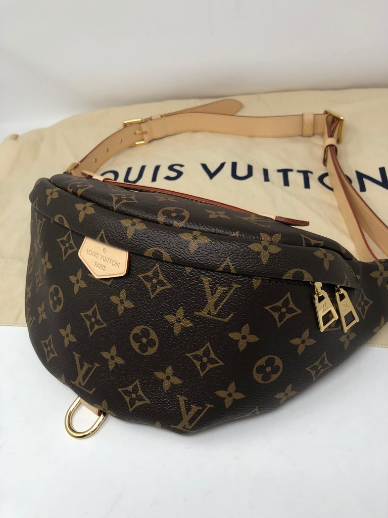 Louis Vuitton Damier Ebene Brooklyn Bumbag Waist Pouch Fanny Pack Belt Bag  For Sale at 1stDibs