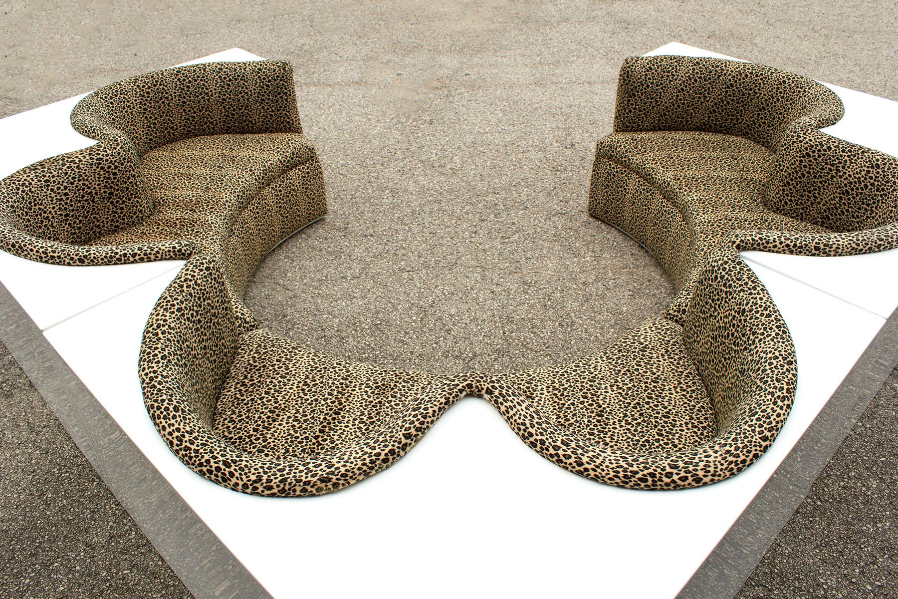 archizoom safari