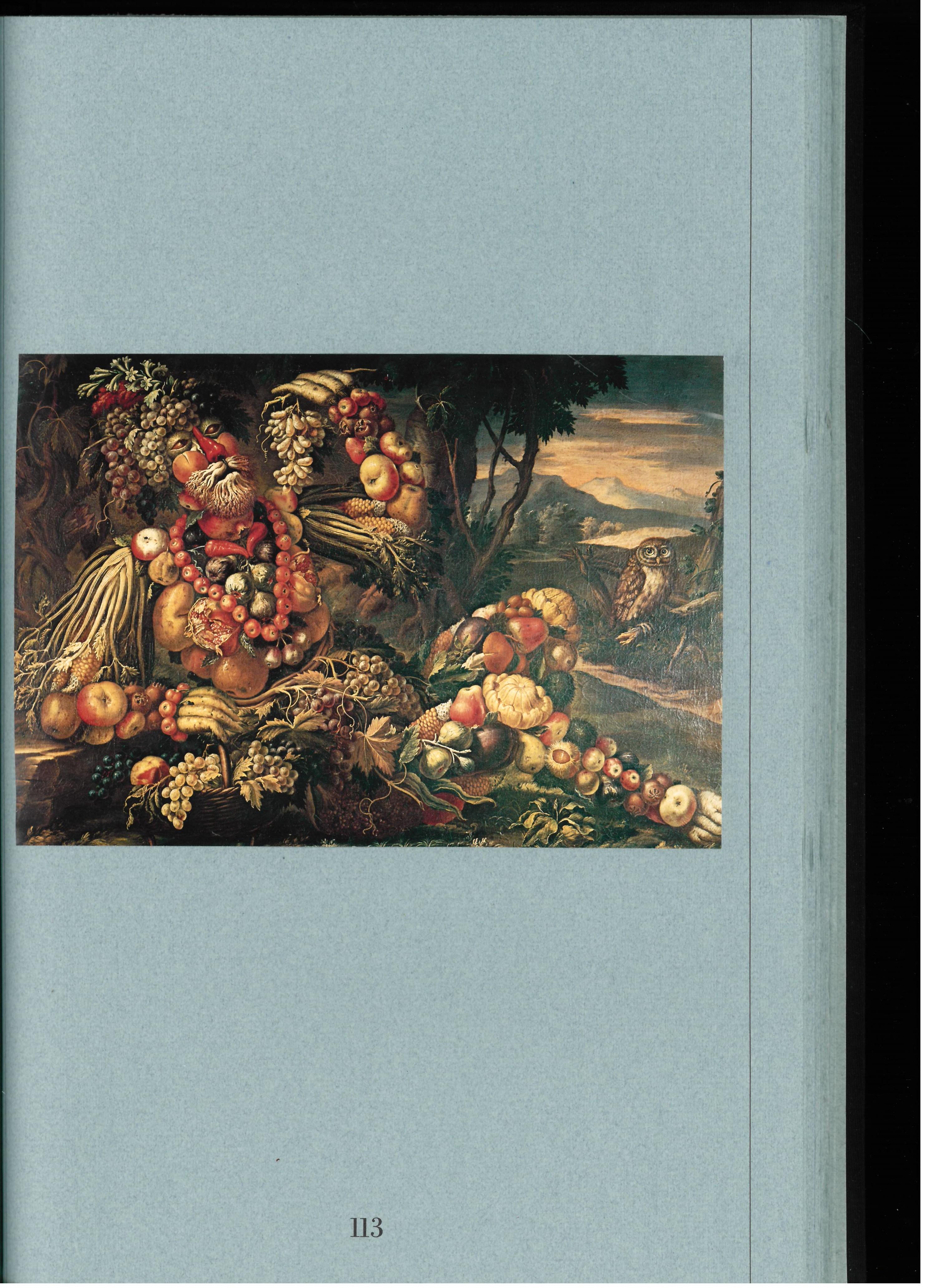 Arcimboldo by Roland Barthes (Book) In Good Condition For Sale In North Yorkshire, GB