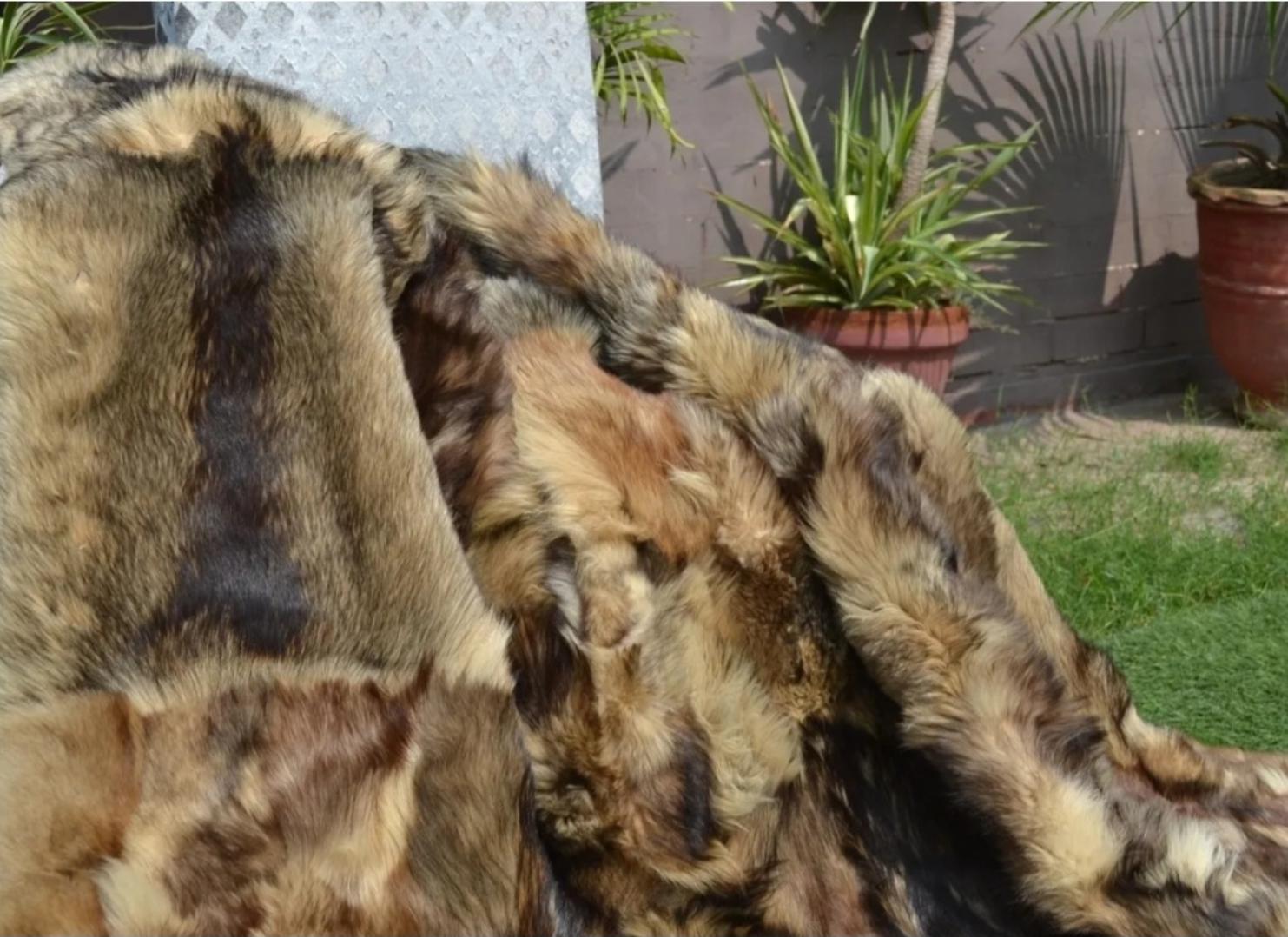 American Arctic Coyote King Size Blanket  For Sale