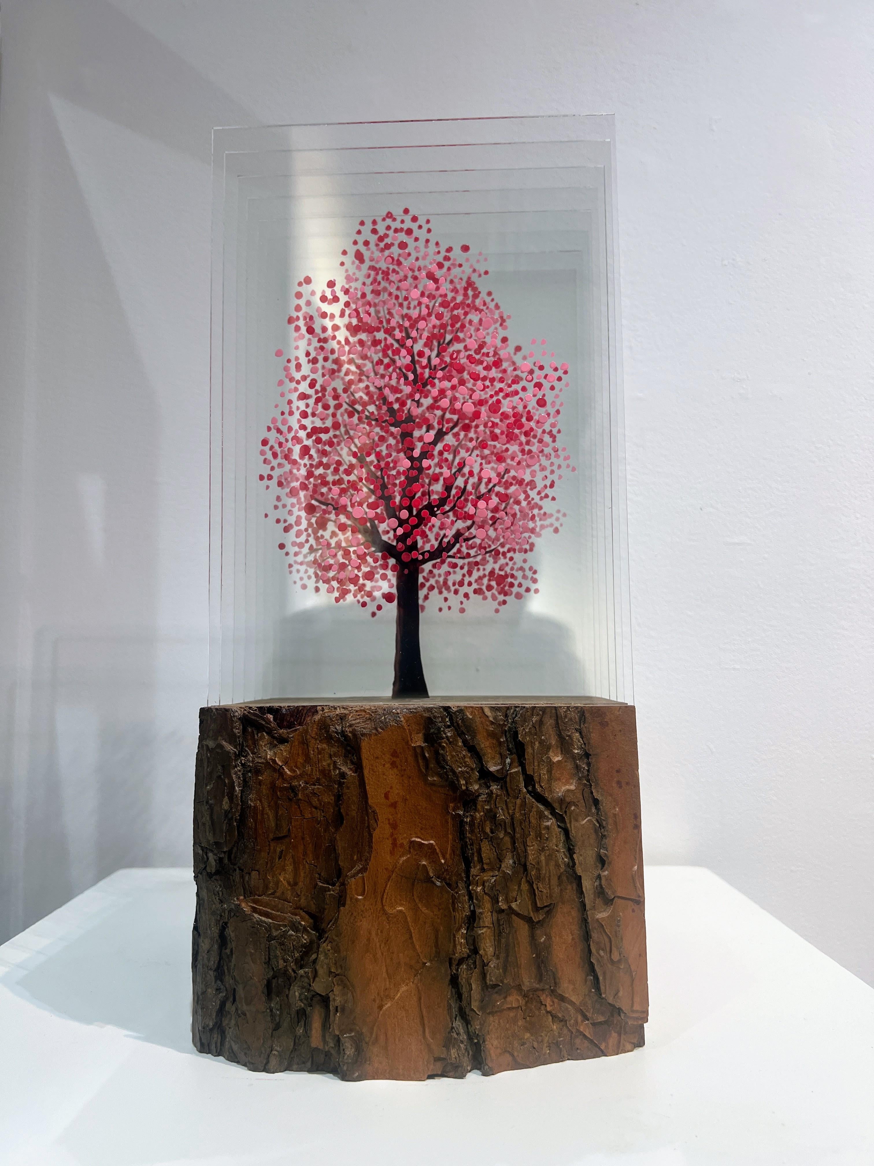 Cherry Blossom Tree, Pine Wood Base