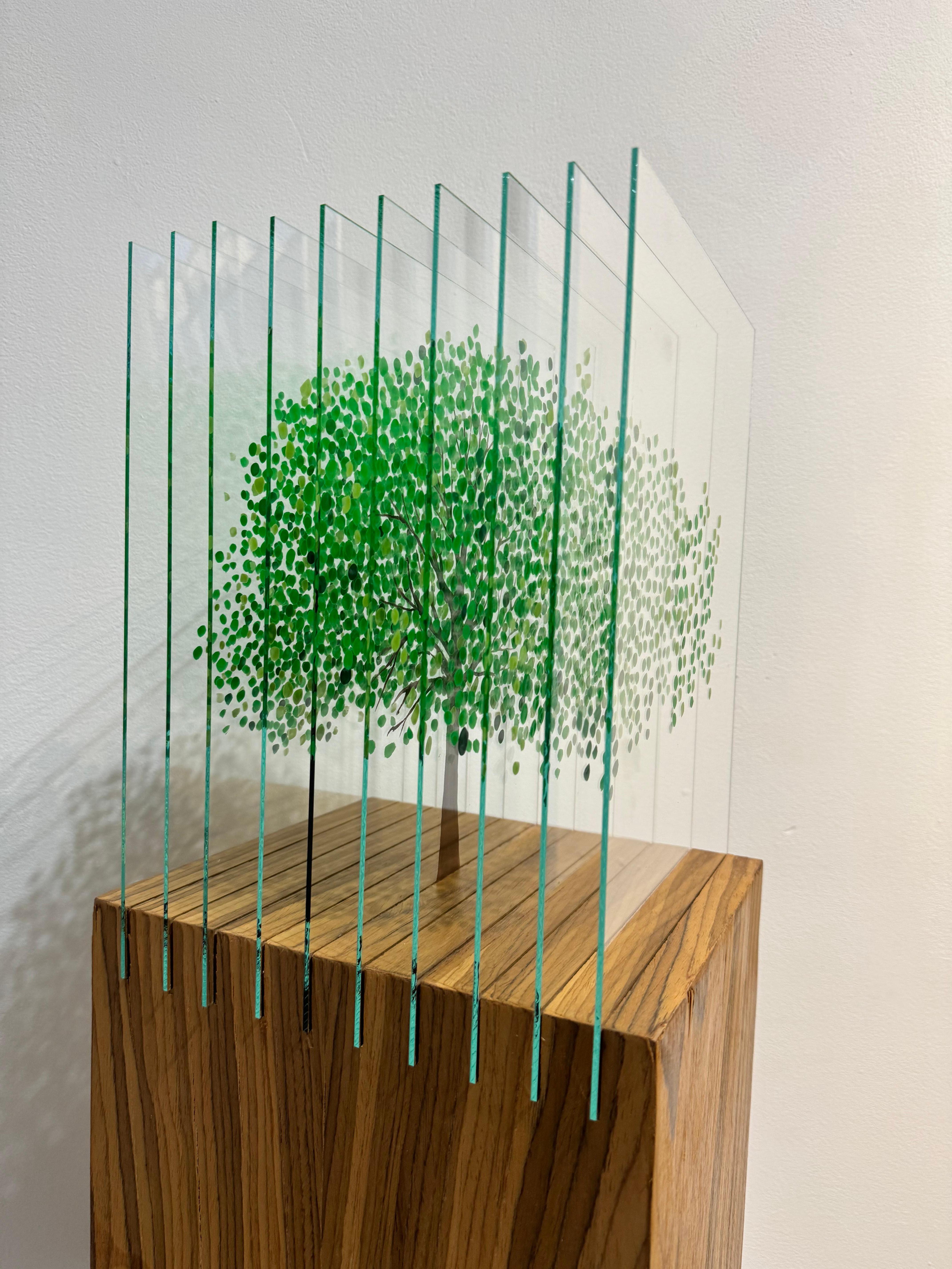 Green Tree A For Sale 2