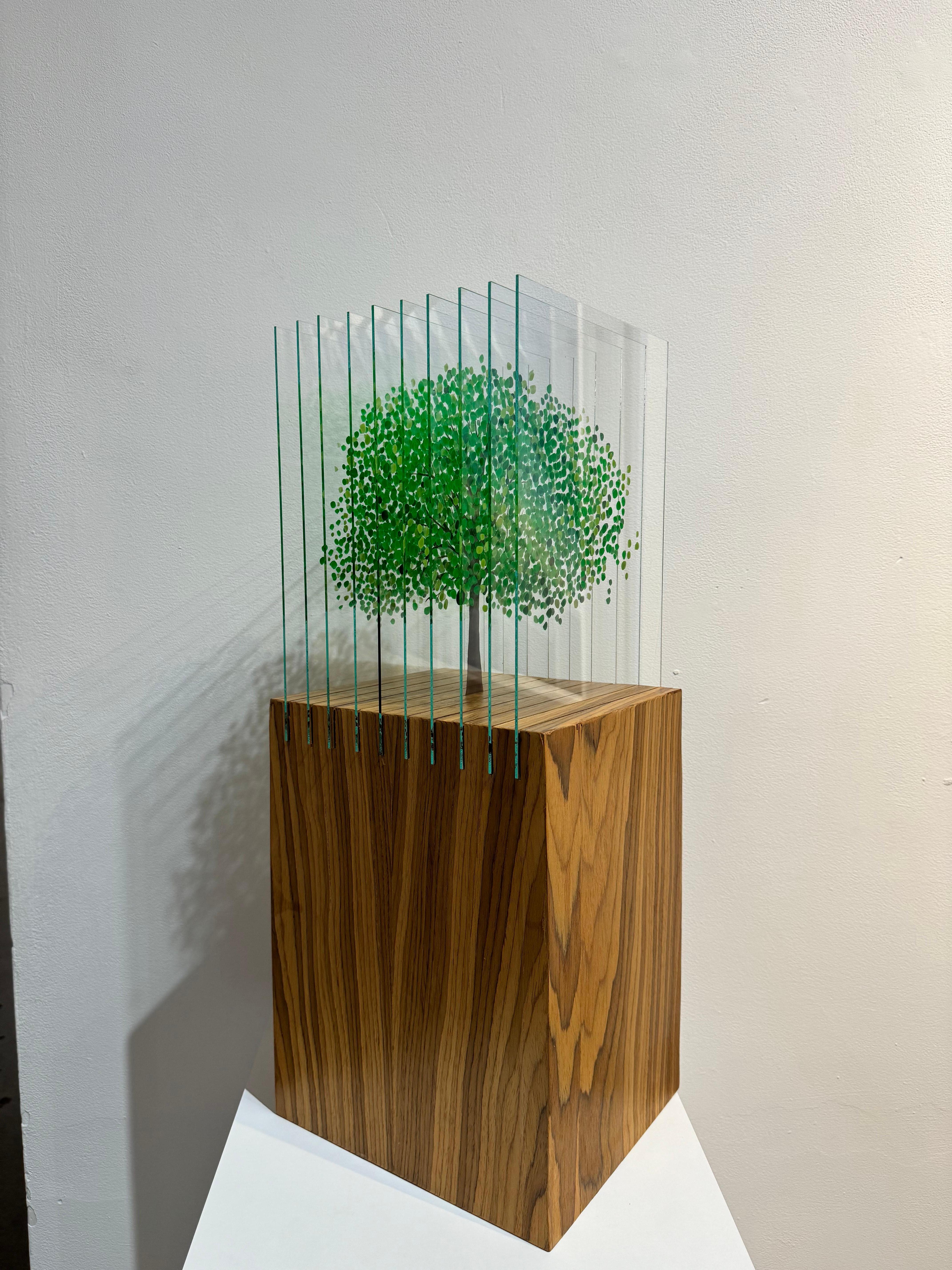 Green Tree A For Sale 3