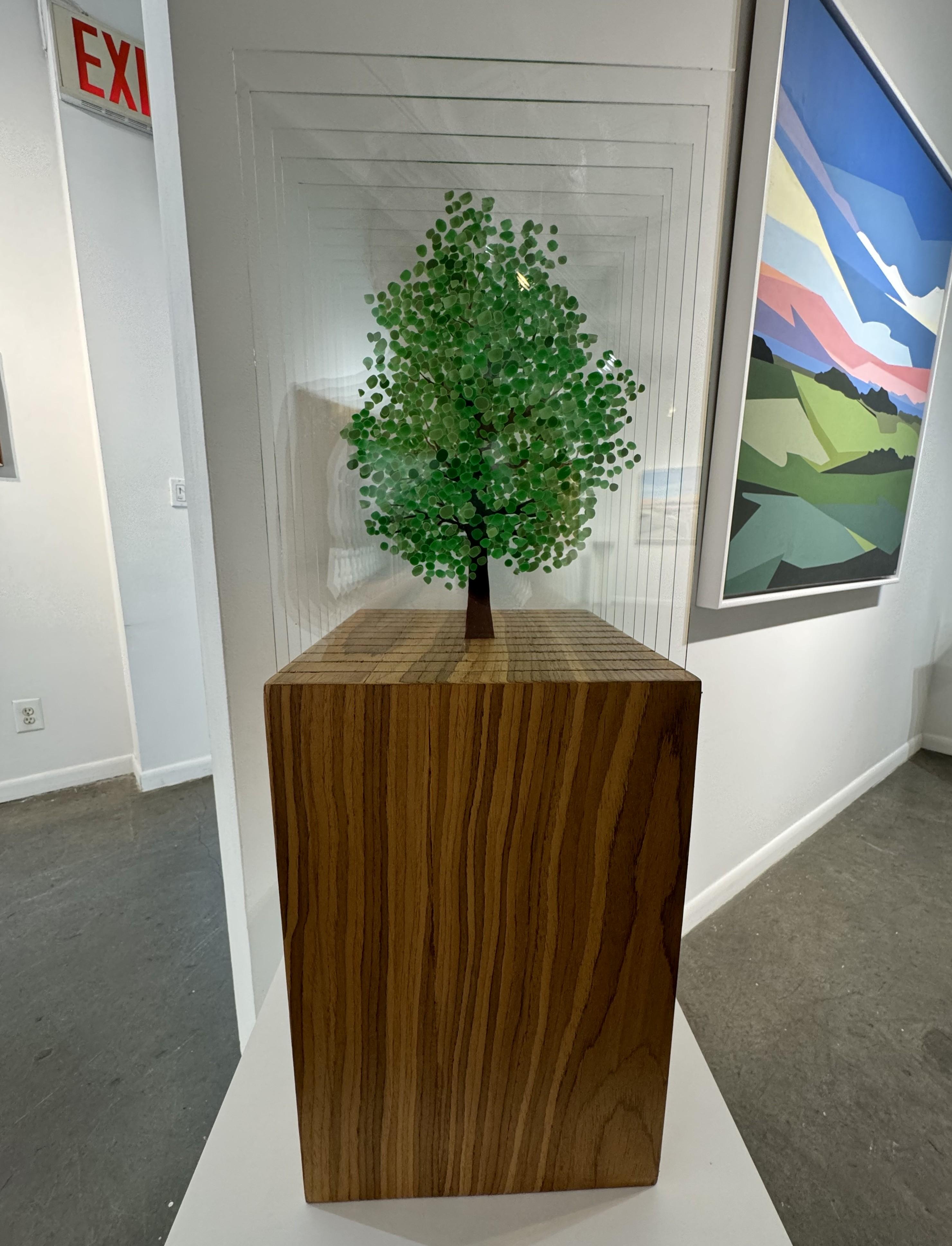 Árbol Verde C