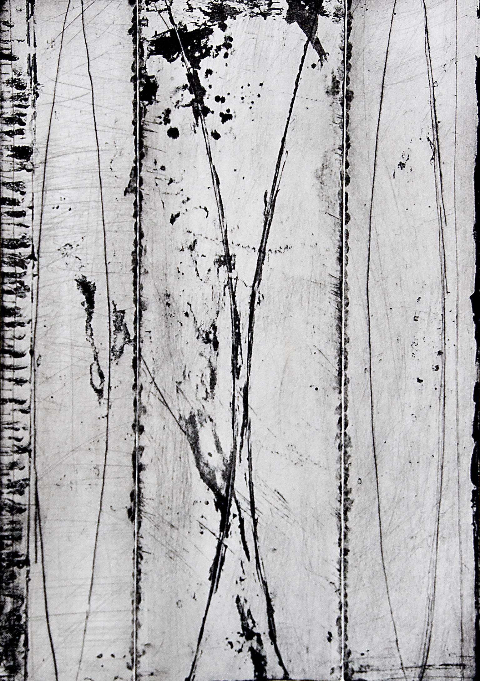Arden Scott Abstract Print - Distilllations, abstract seascape etching, black and white, Long Island shore.