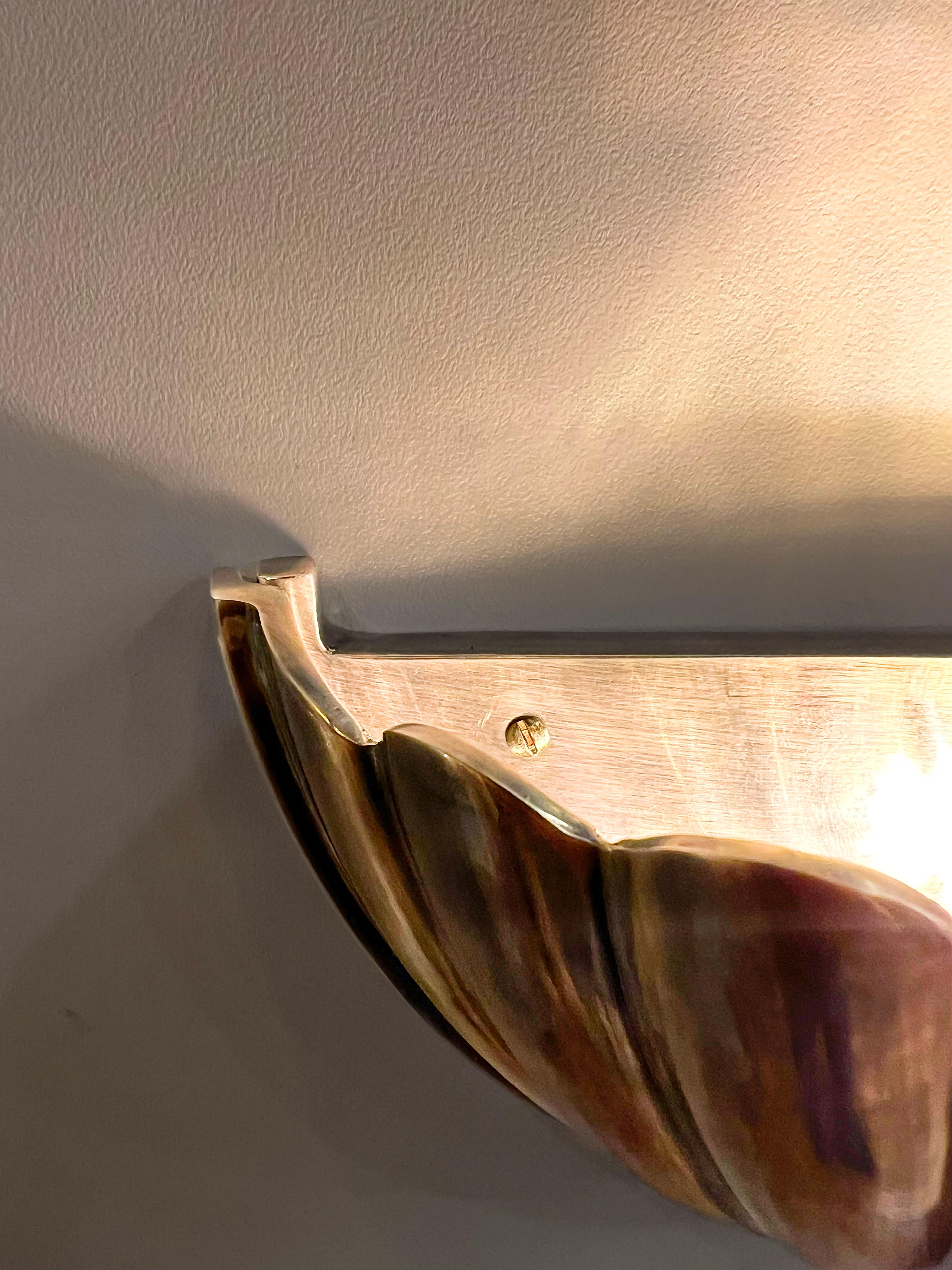 Turco Ardium Shell, applique da parete in fusione d'ottone in stile metà secolo in vendita