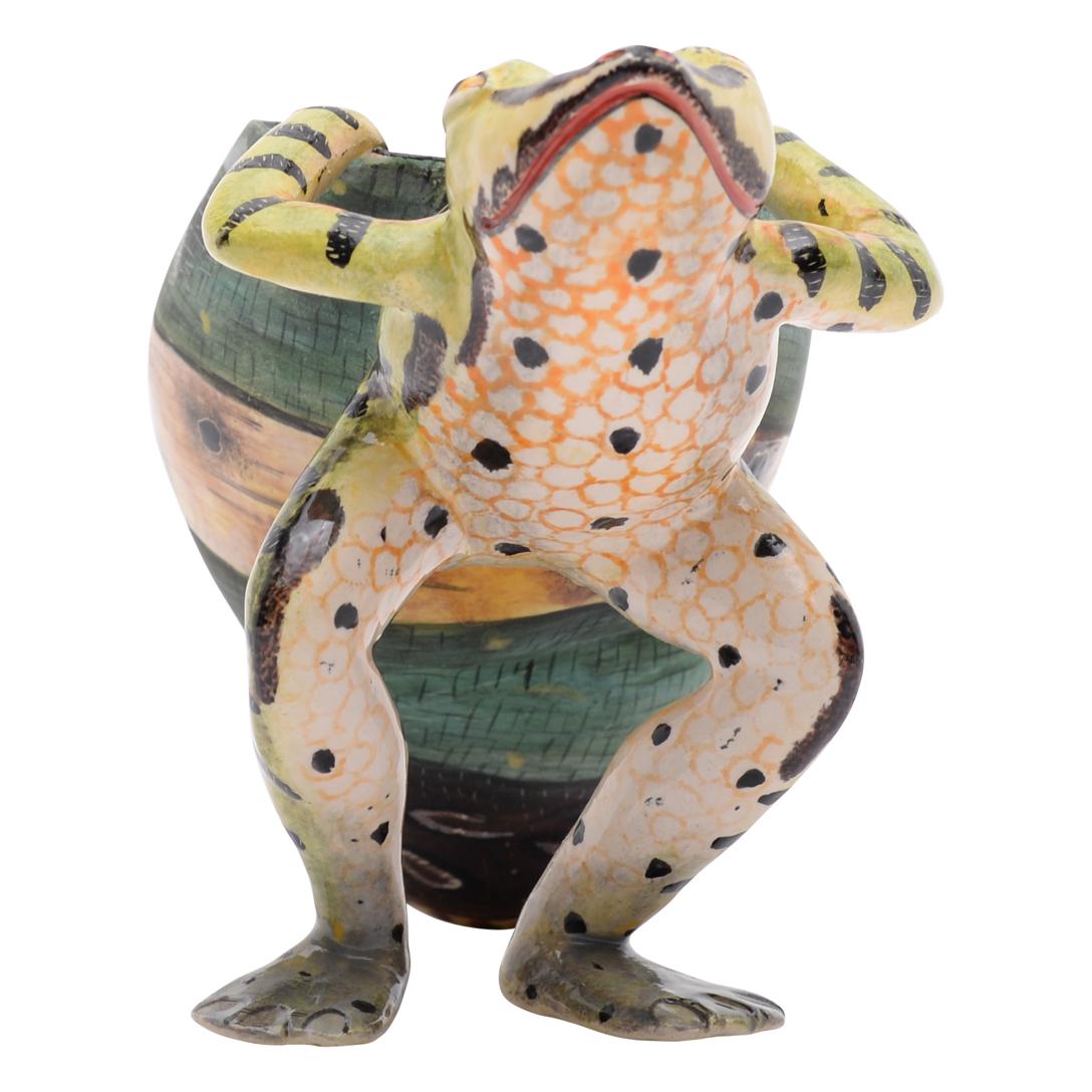grenouille afrique du sud