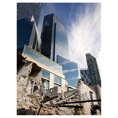 Are You Prepared? #5 Digital color coupler print, Diasec. mounted