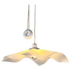 Area 50 Ceiling Light by Mario Bellini for Artemide, 1960s