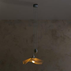 Area 50' Resin Pendant Light by Mario Bellini for Artemide, 1976 - 2 Available