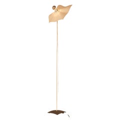 Area Curvea Floor Lamp by Mario Bellini