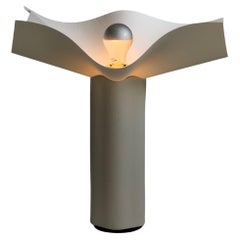 Lighting