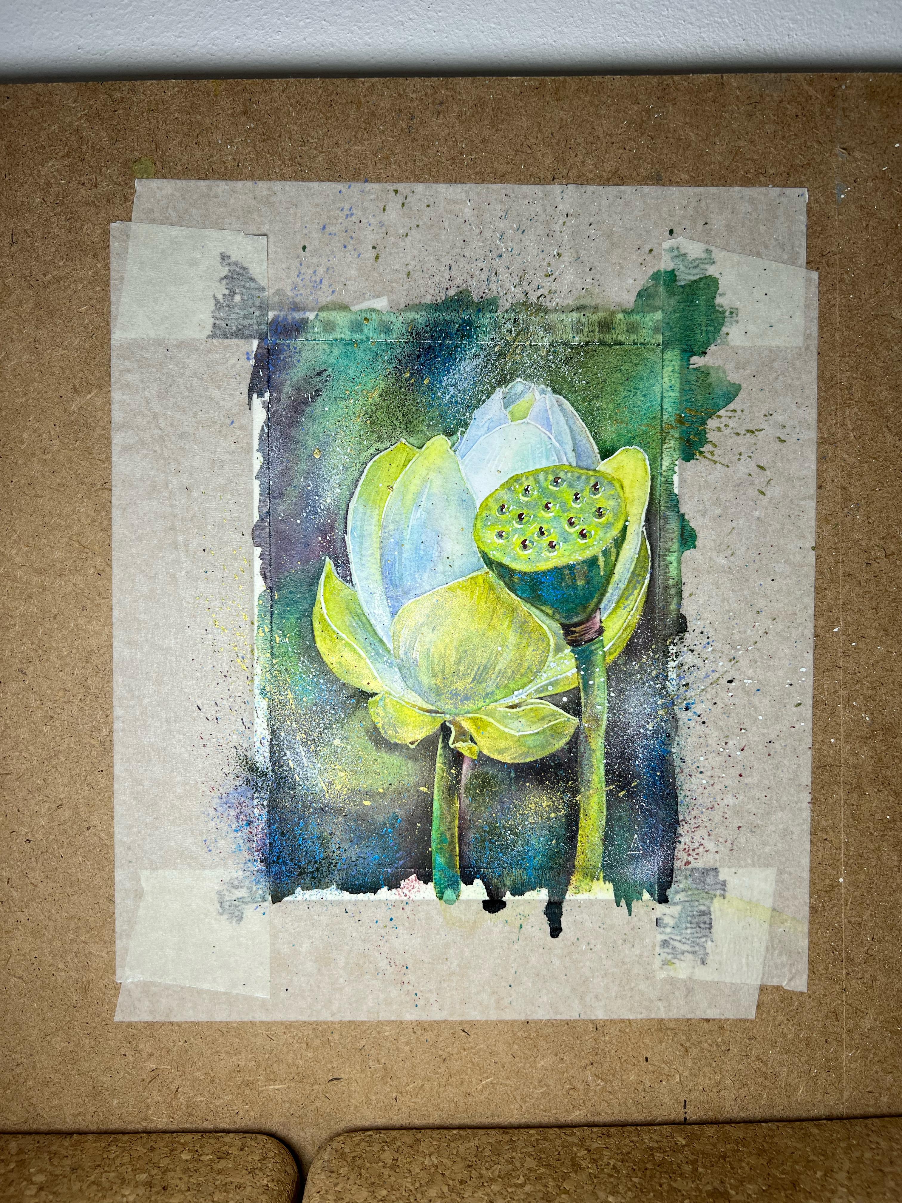 “SHINING LOTUS.” 12/16 CM. WATERCOLOR, PAPER.
SERIES 