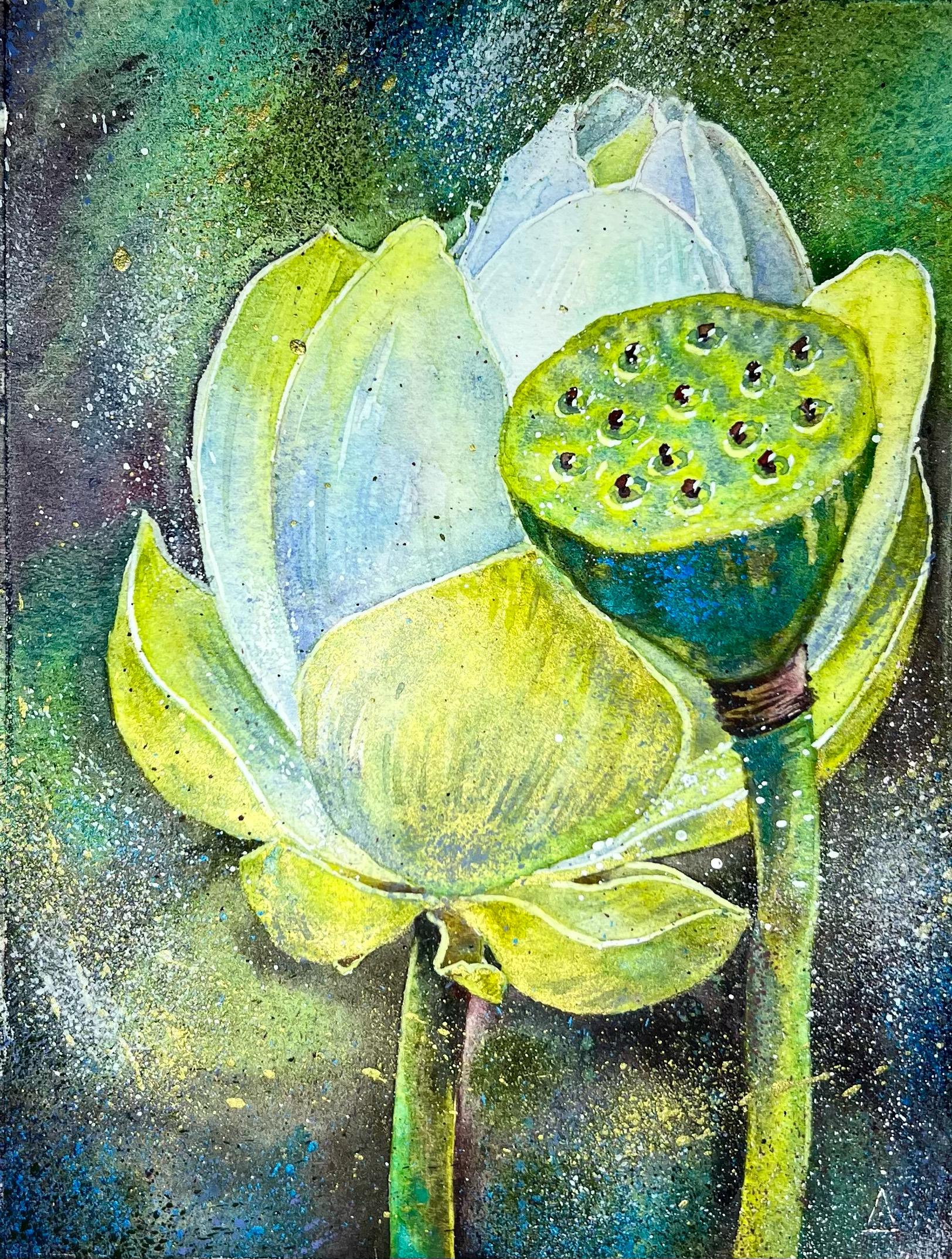 Shining Lotus. For Sale 1